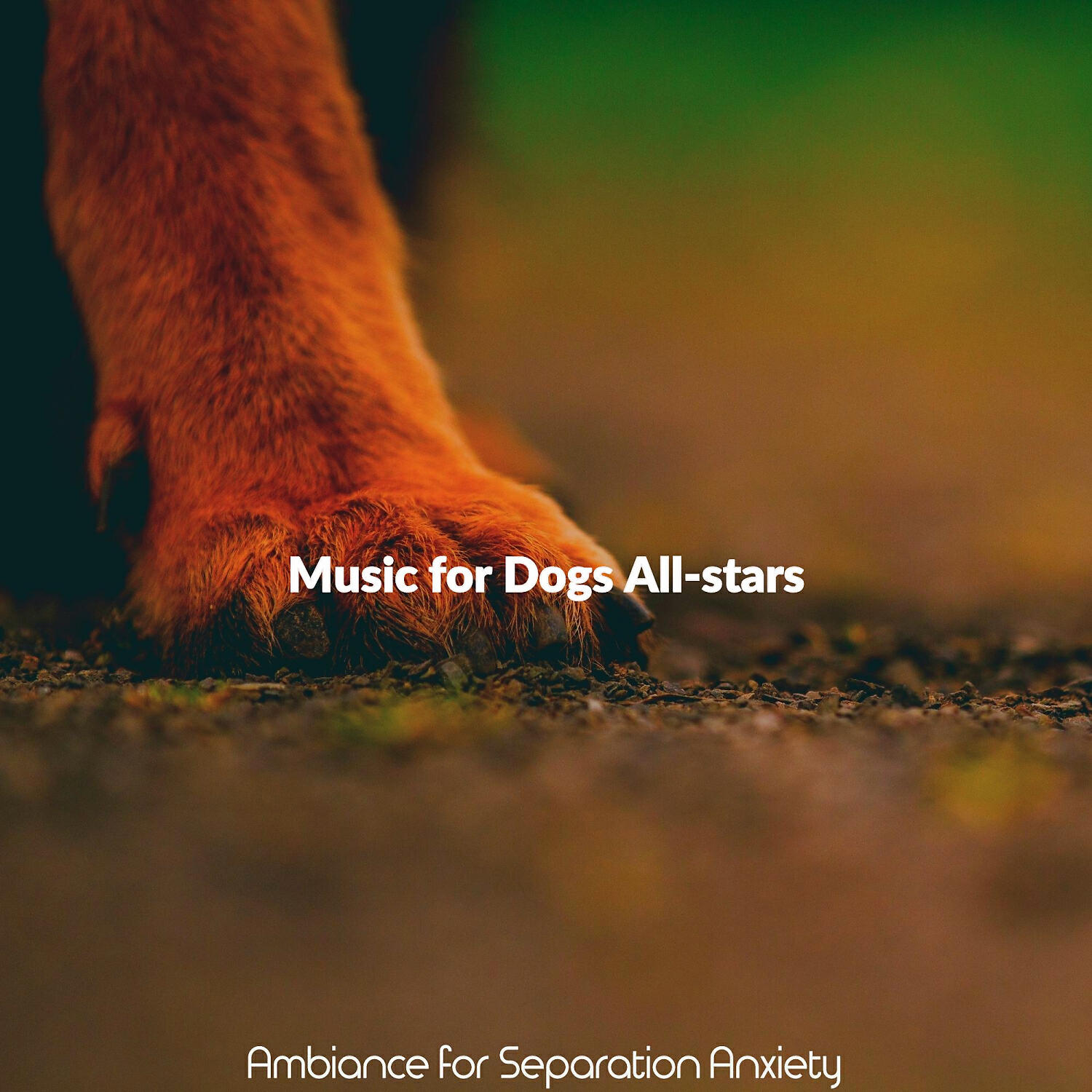 Music for Dogs All-stars - Playful Jazz Guitar Trio - Vibe for Lonely Dogs