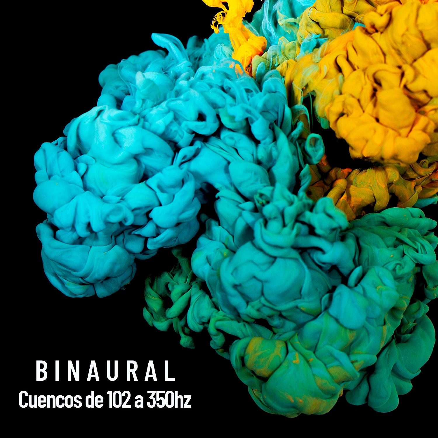 Постер альбома Binaural: Cuencos de 102 a 350hz