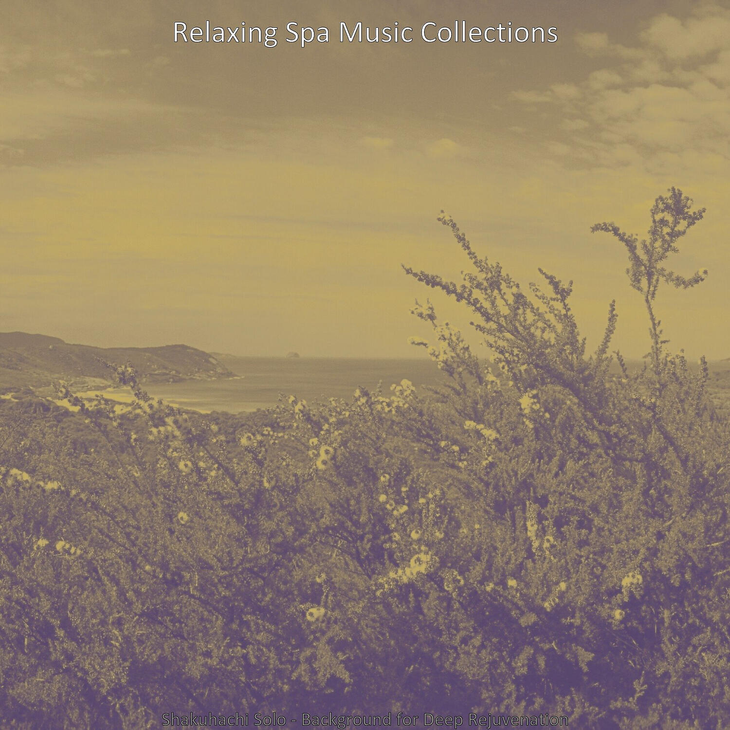 Relaxing Spa Music Collections - Background for Holistic Spa Treatments