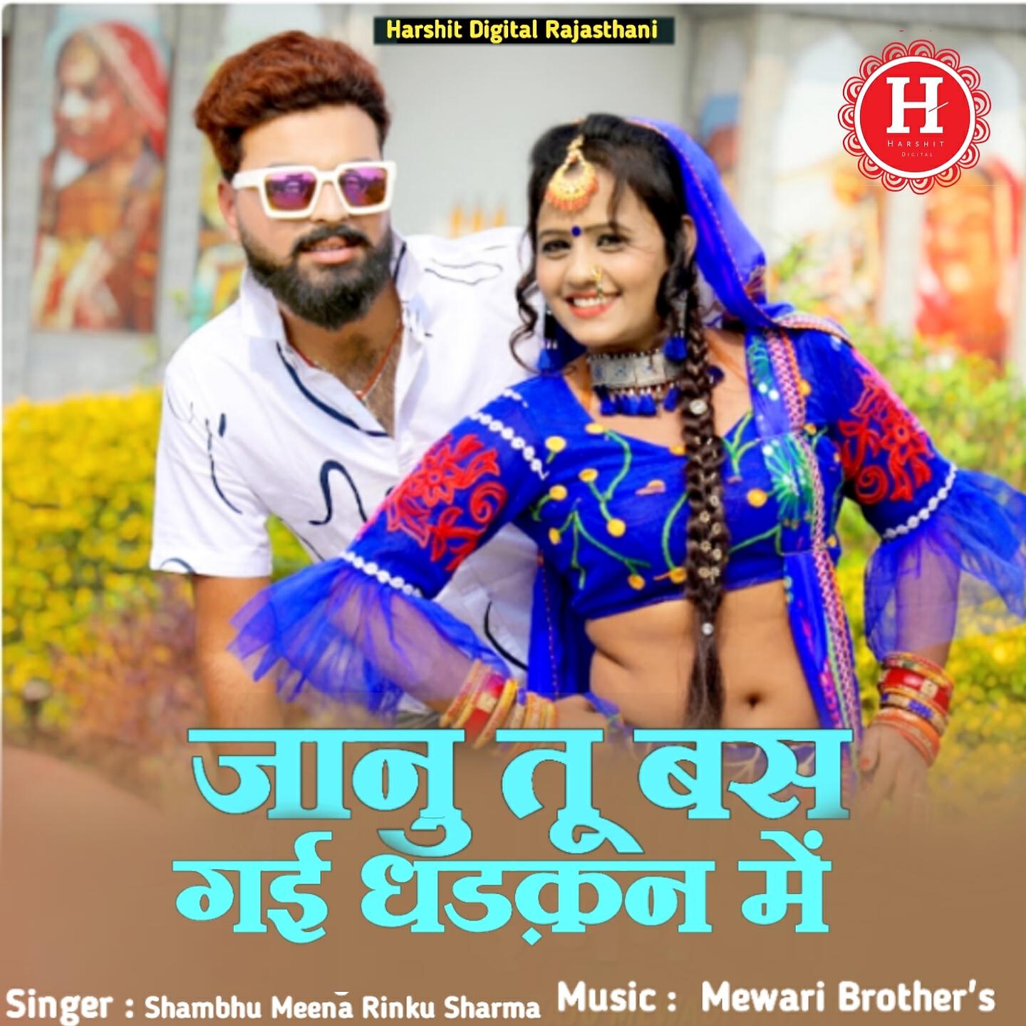 SHAMBHU MEENA RINKU SARMA - JANU TU BAS GAYI DHADKAN ME