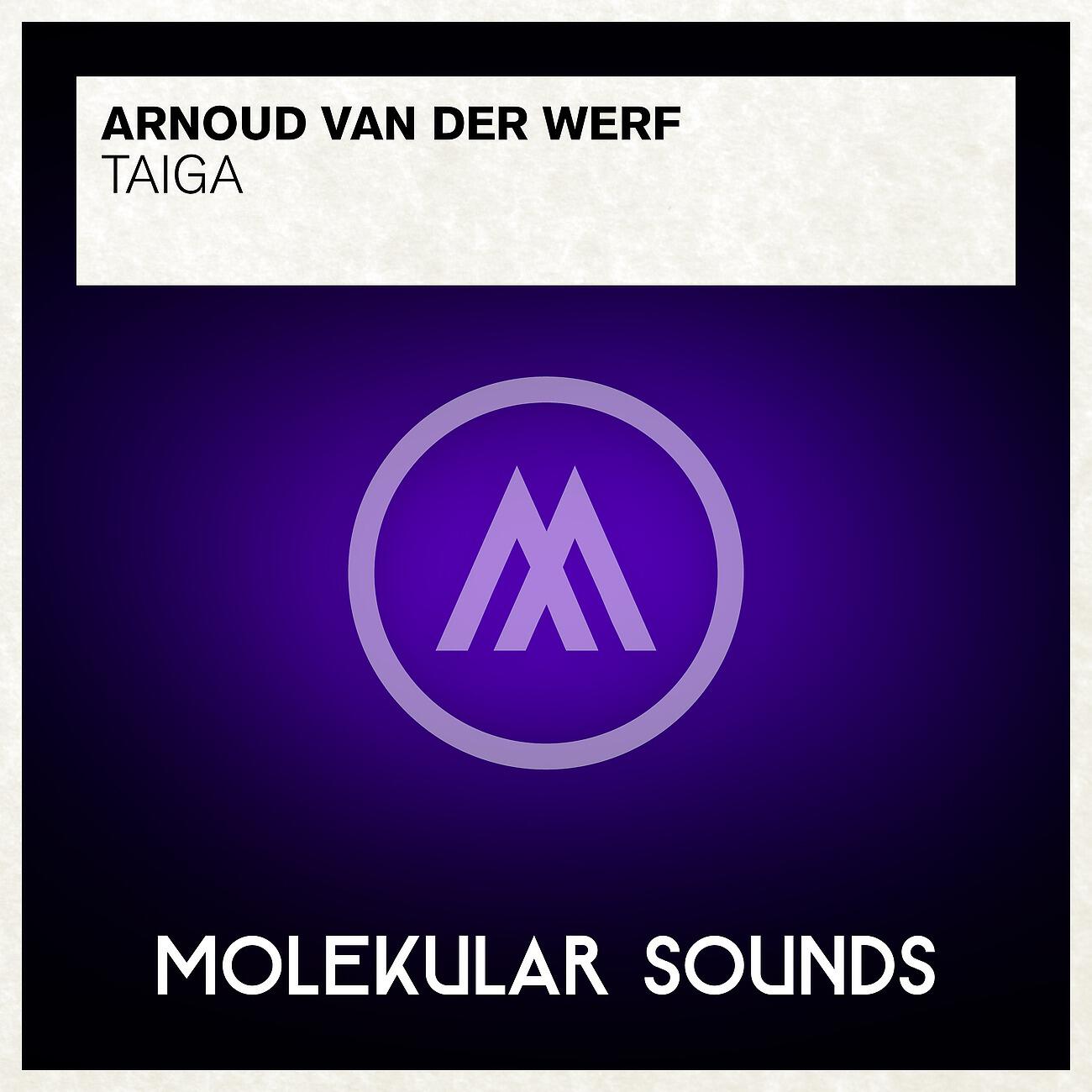 Arnoud van Der Werf - Taiga