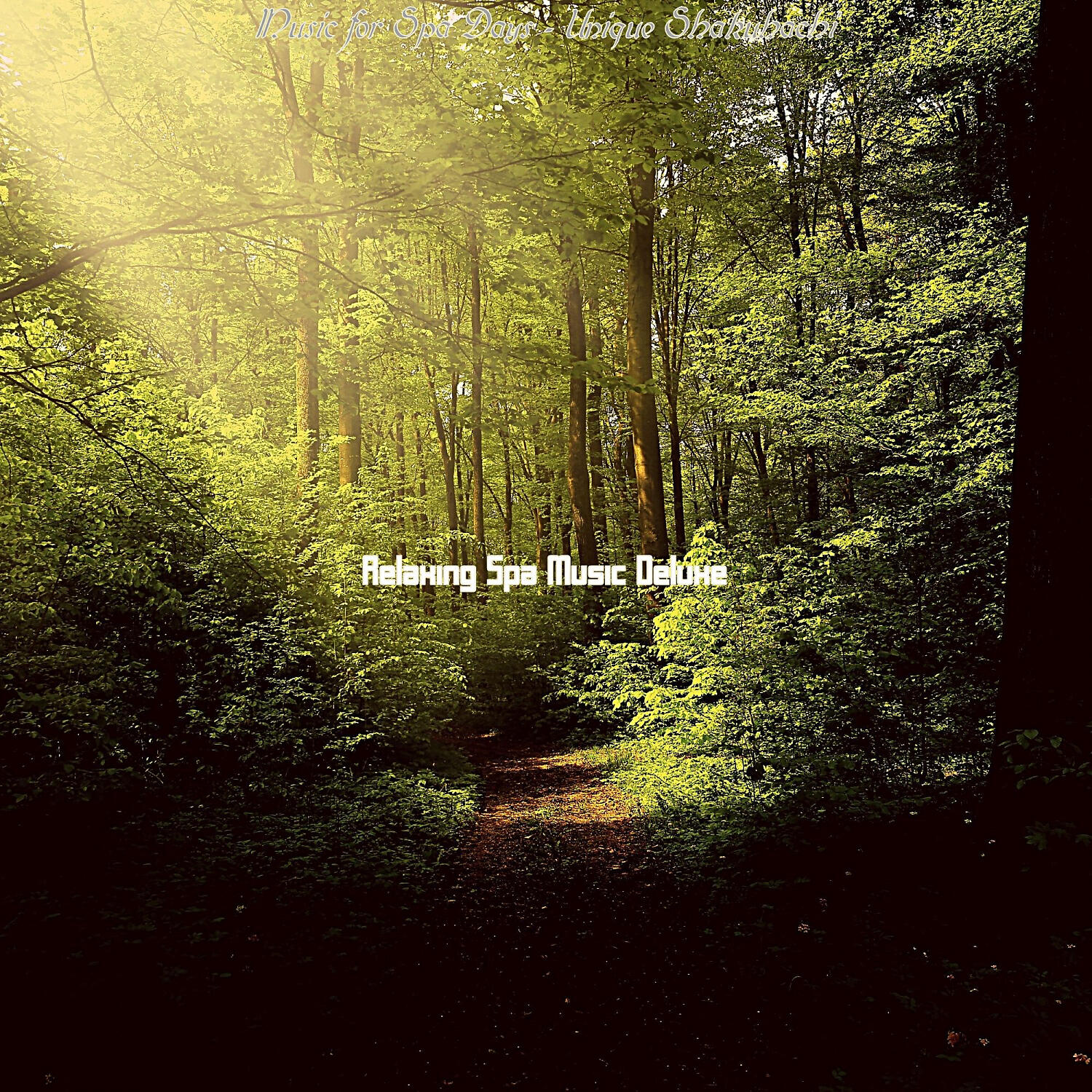 Relaxing Spa Music Deluxe - Calm Shakuhachi and Harps - Vibe for Aromatherapy Massages