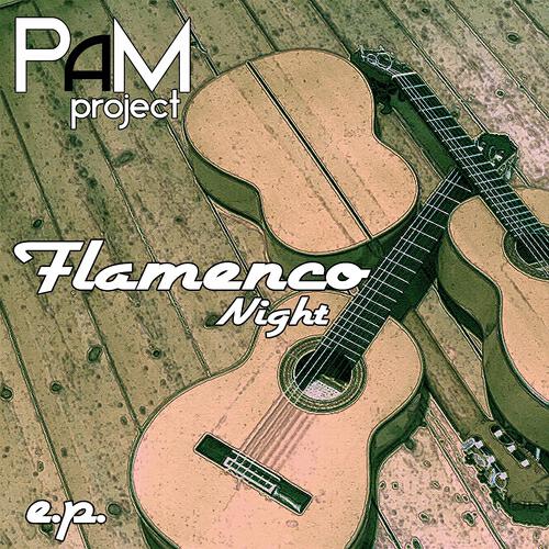 Pam Project - Feel It (Extended)