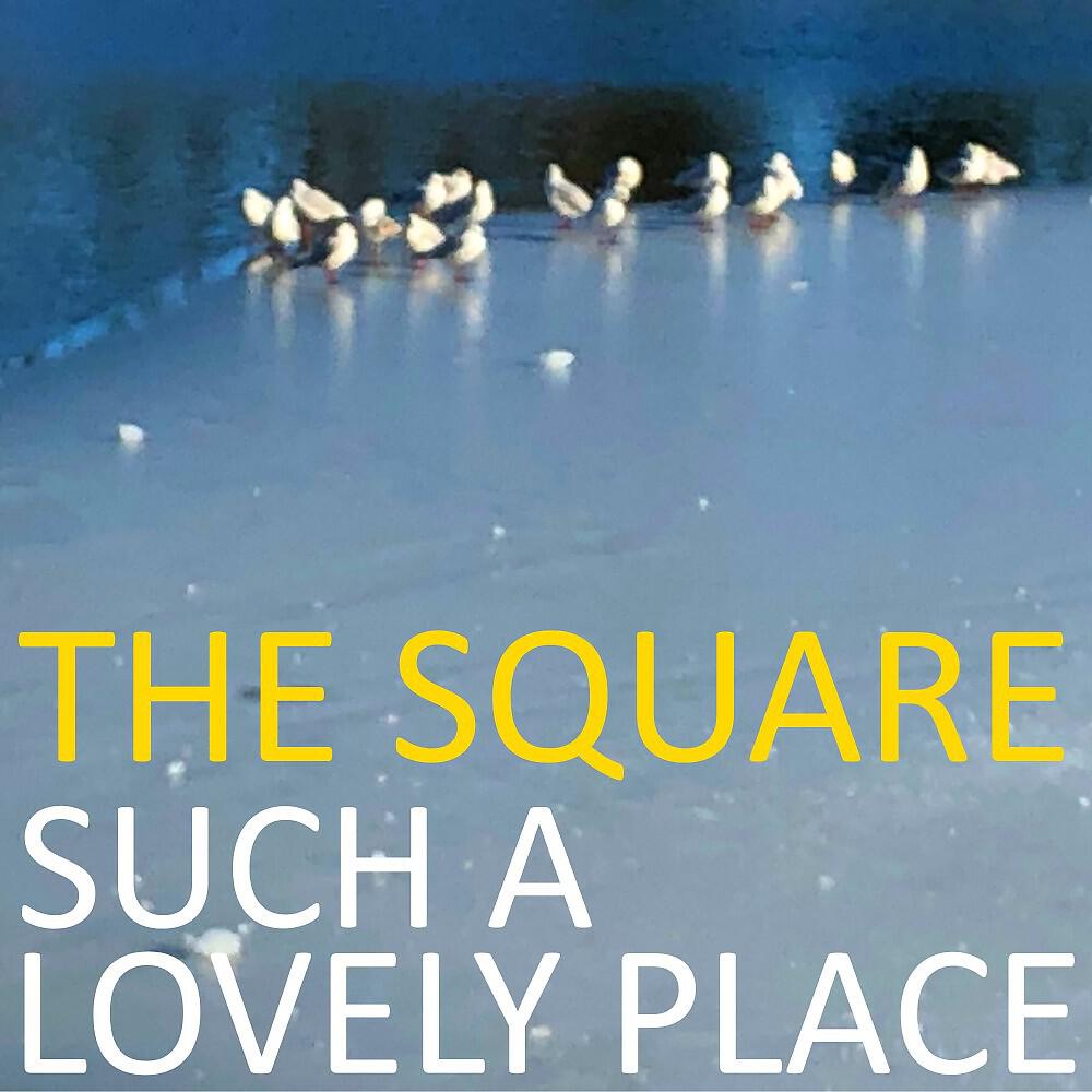 The Square - Boats Against the Current