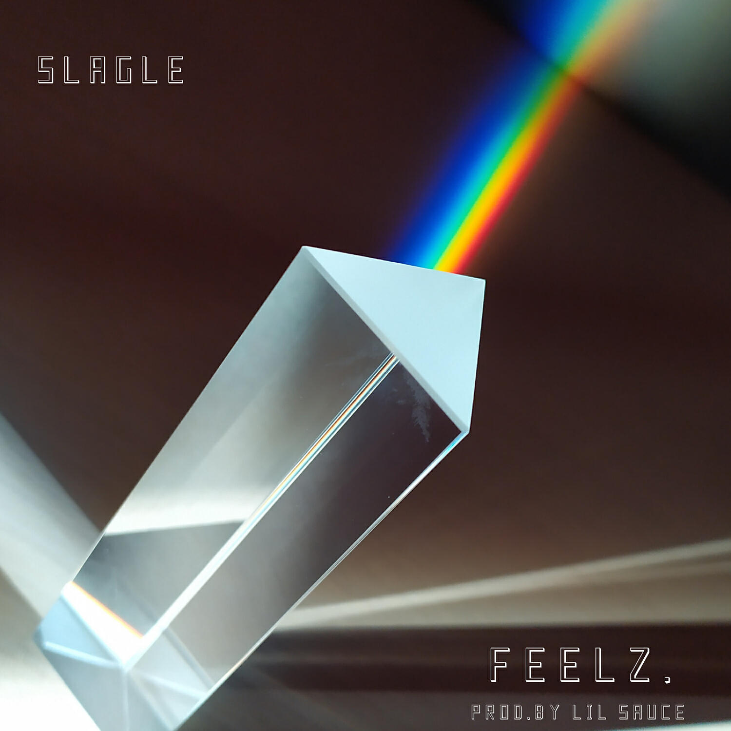 Slagle - Feelz