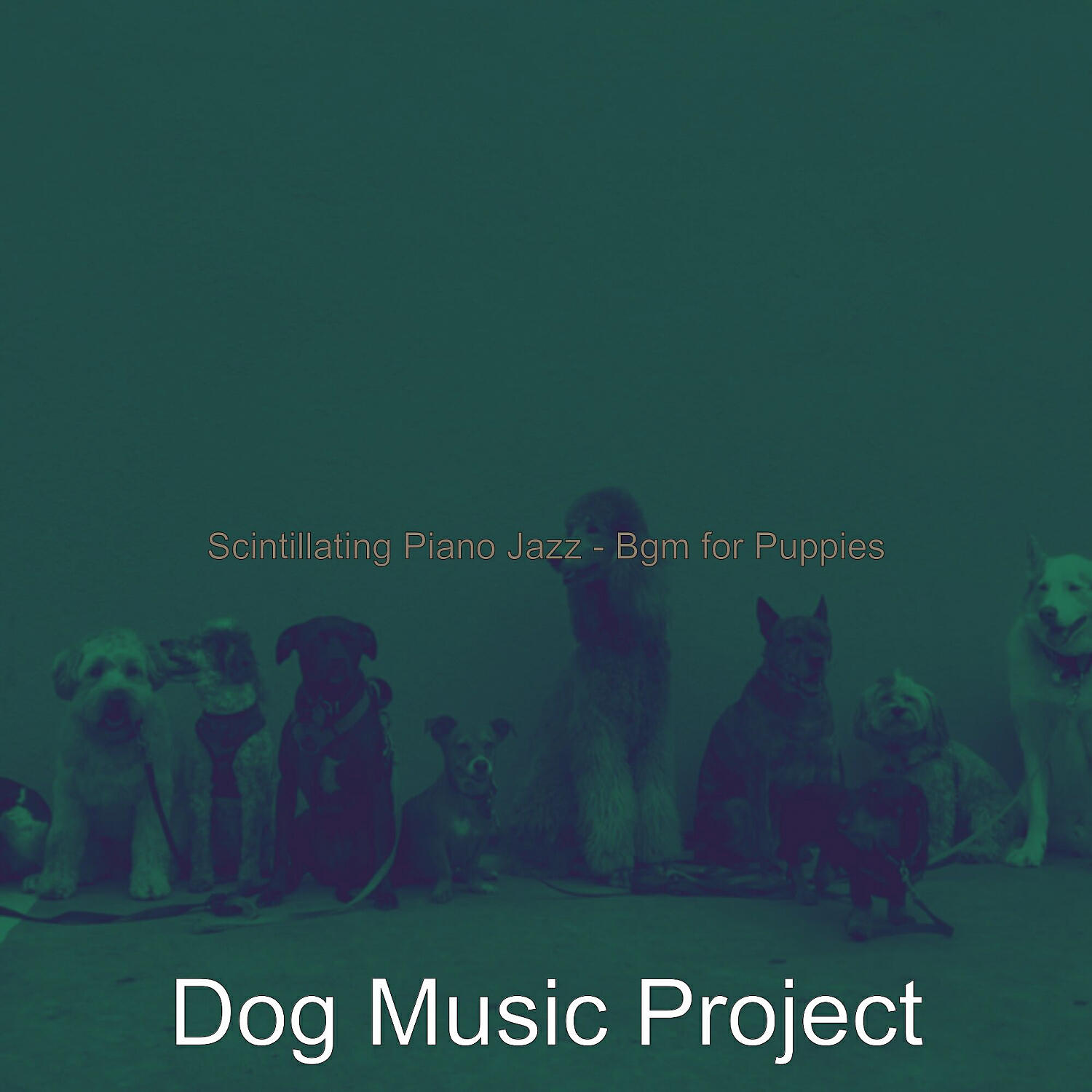 Dog Music Project - Casual Moods for Doggy Training