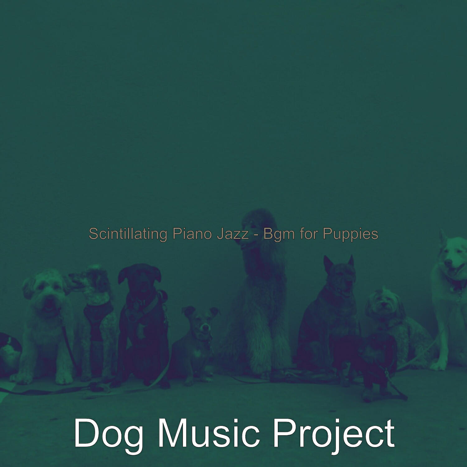 Dog Music Project - Sparkling Solo Piano Jazz - Vibe for Separation Anxiety