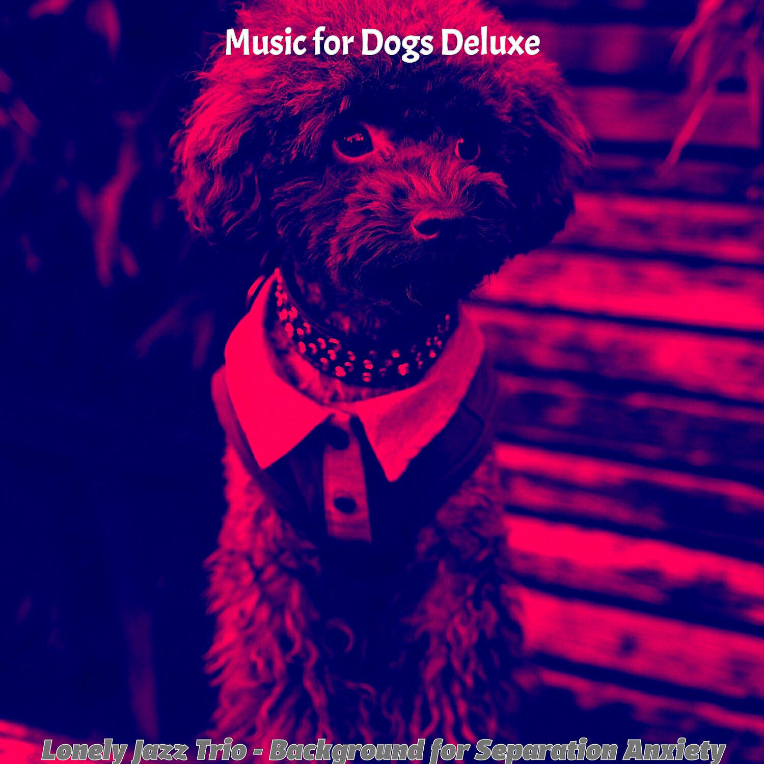 Music for Dogs Deluxe - Vivacious Training Dogs