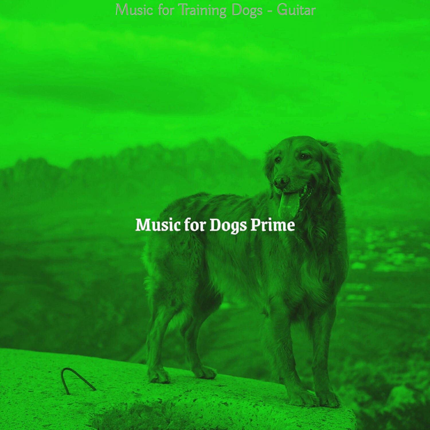 Music for Dogs Prime - Dashing Backdrops for Training Dogs