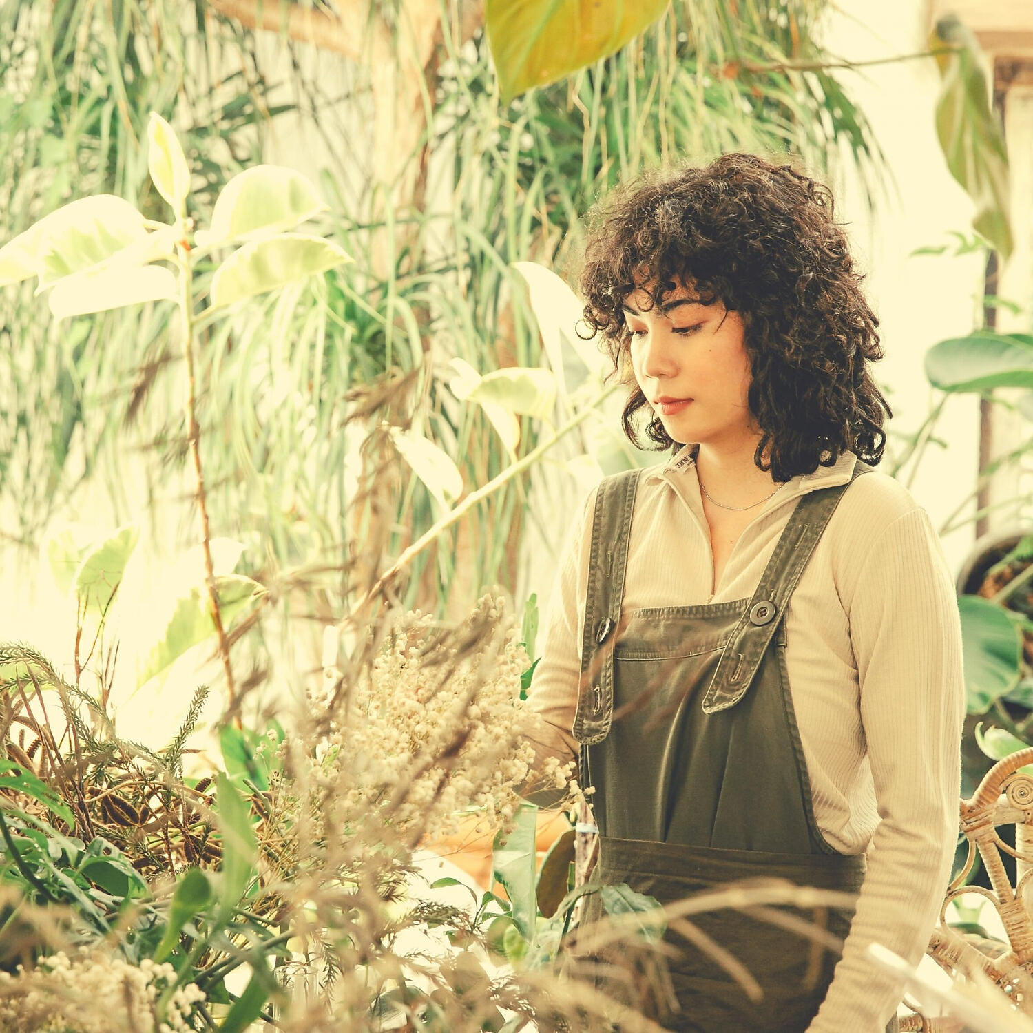 Casual Soft Jazz - Exciting Backdrops for Weekends