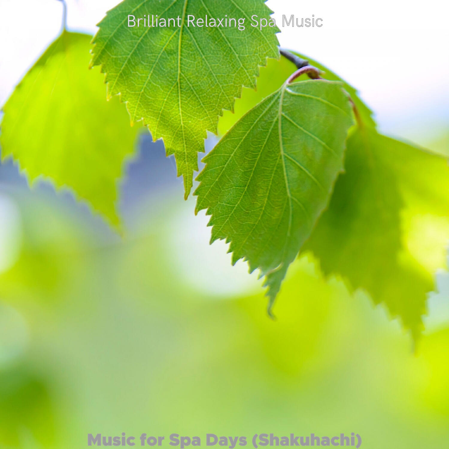 Brilliant Relaxing Spa Music - Understated Music for Massage Therapy