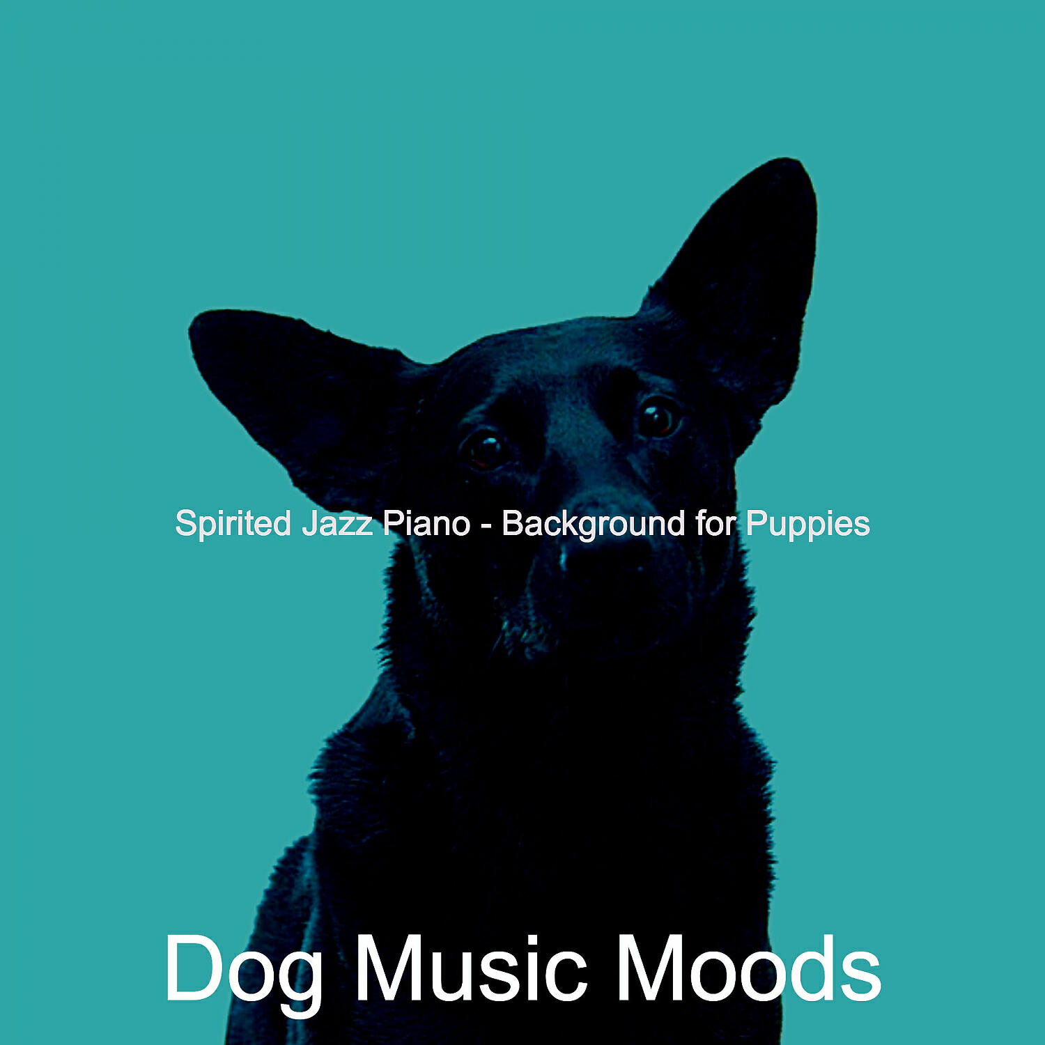 Dog Music Moods - Retro Solo Piano Jazz - Vibe for Cute Dogs