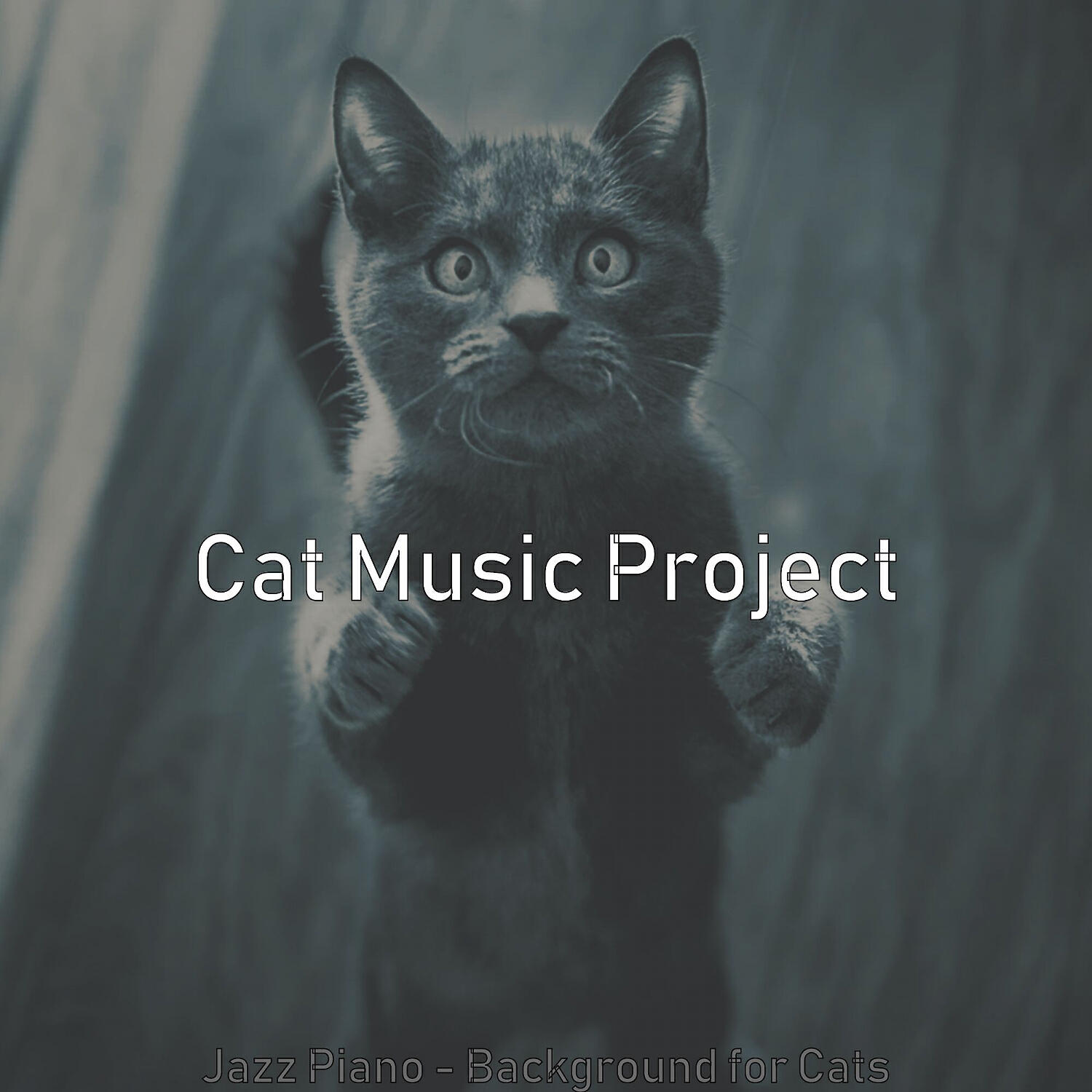 Cat Music Project - Stellar Music for Kittens