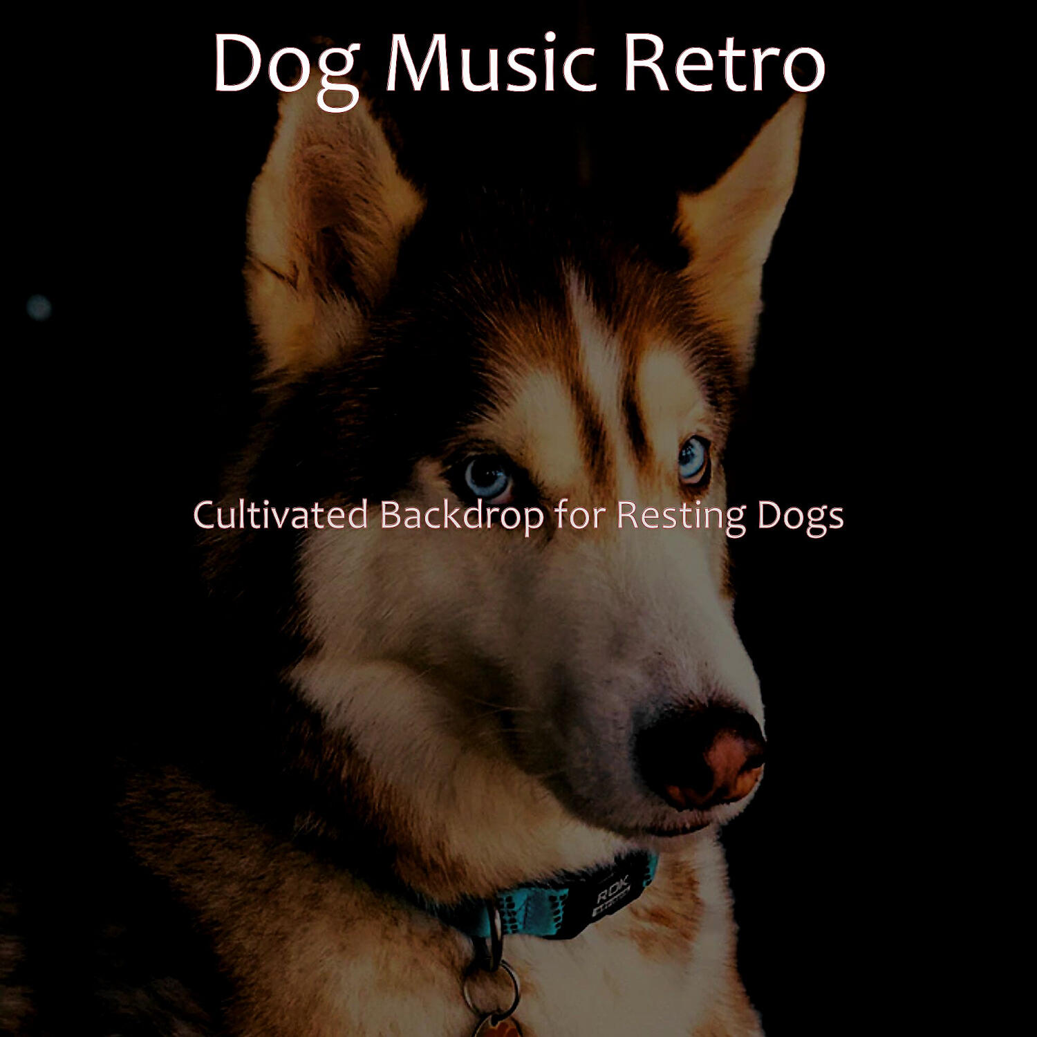 Dog Music Retro - Piano Jazz Soundtrack for Reducing Dog Stress