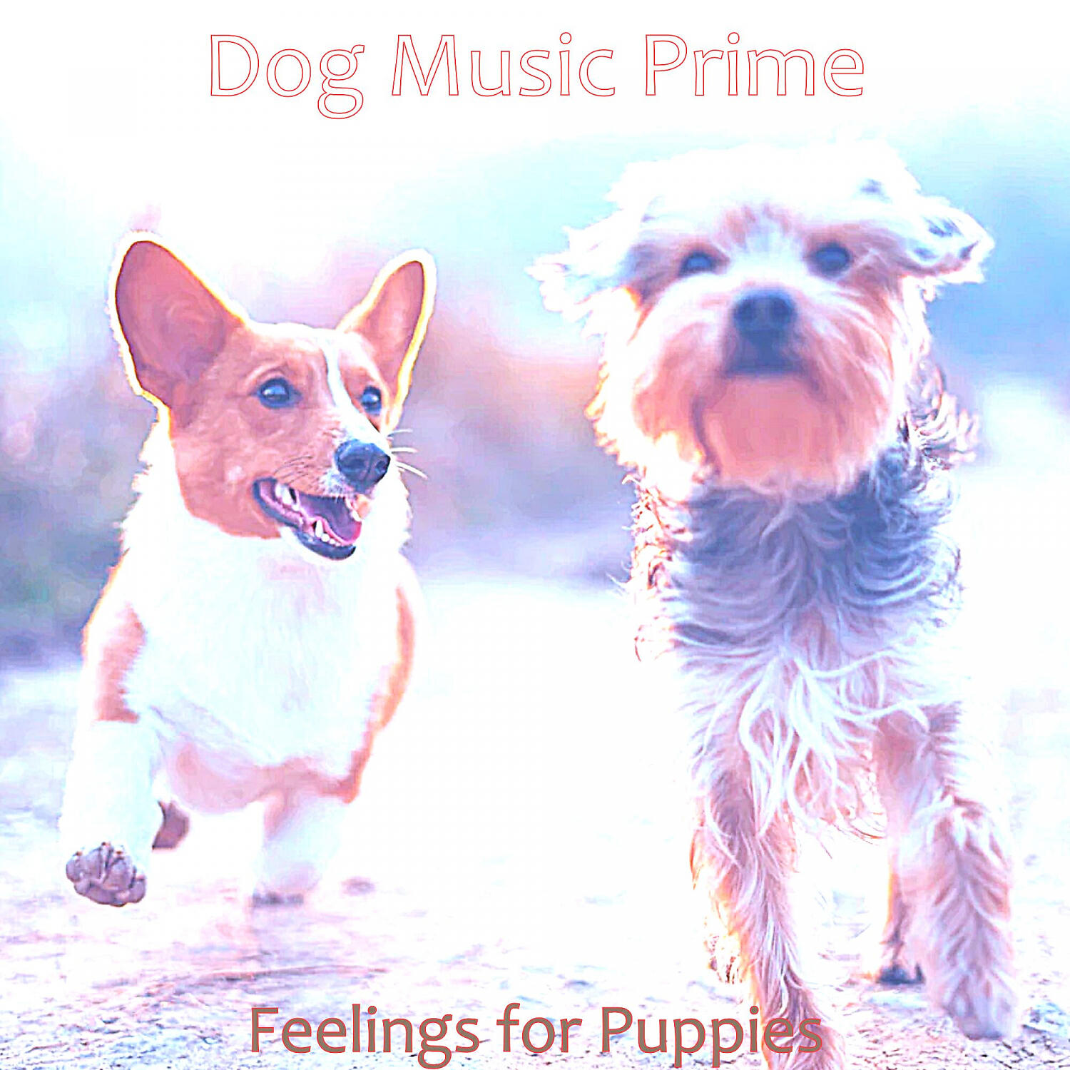 Dog Music Prime - Piano Jazz Soundtrack for Reducing Dog Stress