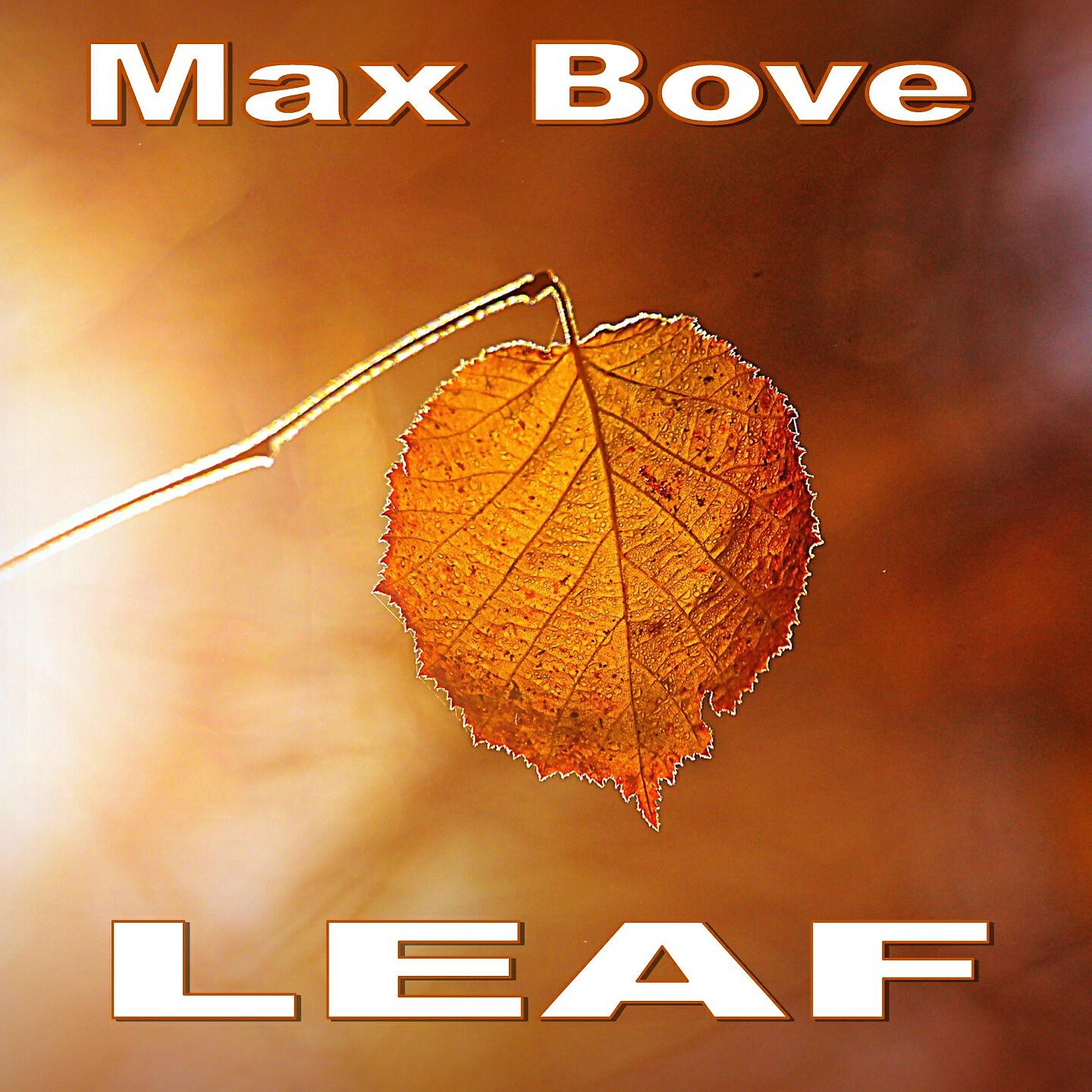 Max Bove - Branch