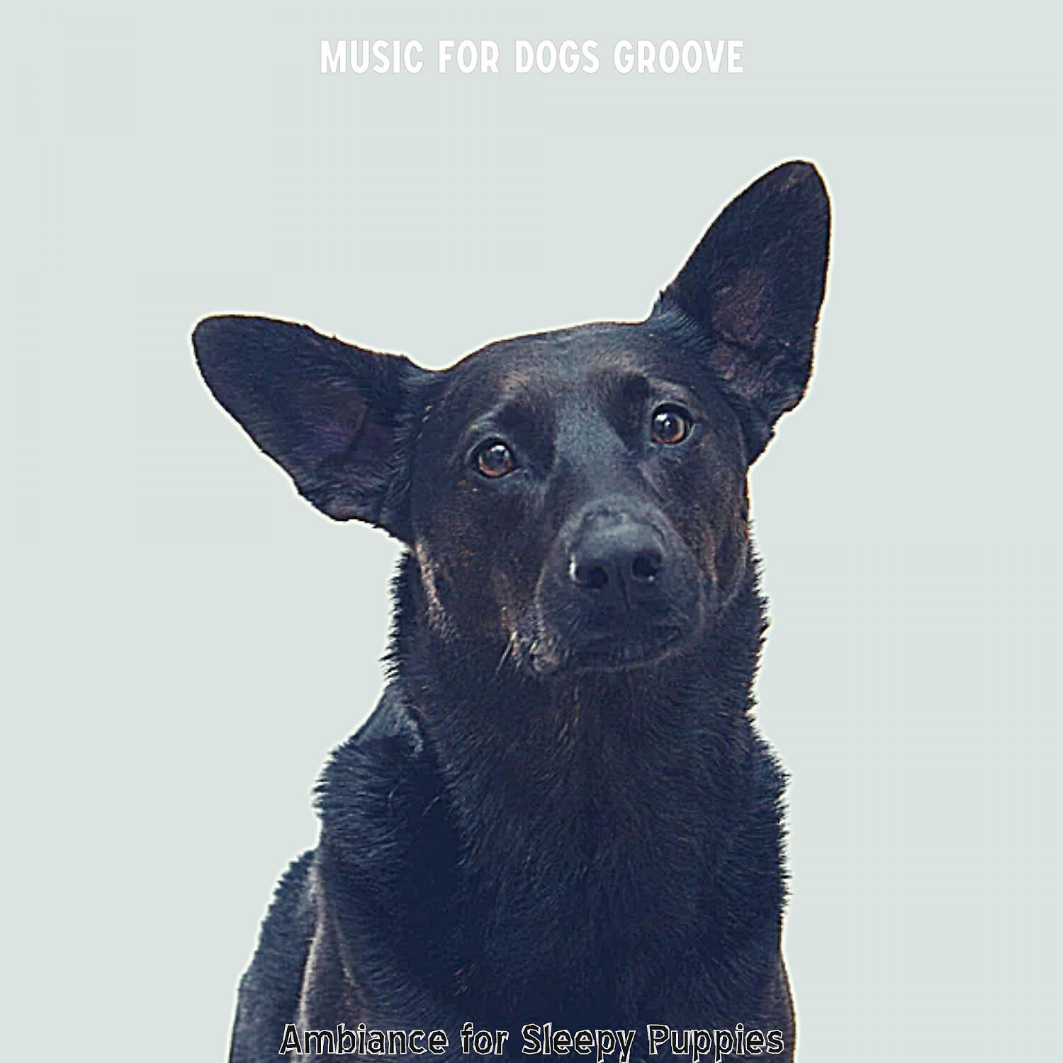 Music for Dogs Groove - Easy Listening Acoustic Guitar Soundtrack for Calm Puppies