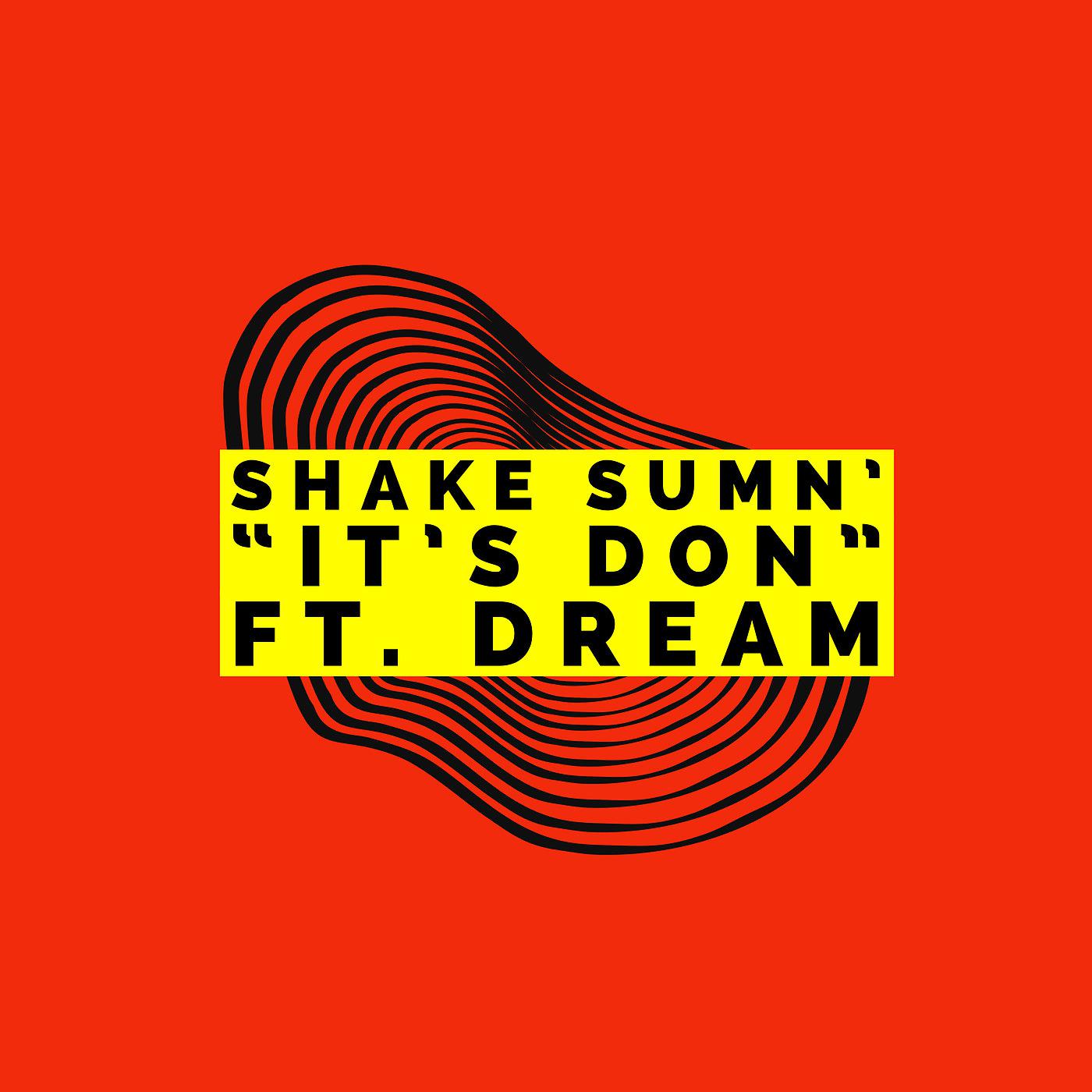 Постер альбома Shake Sumn'