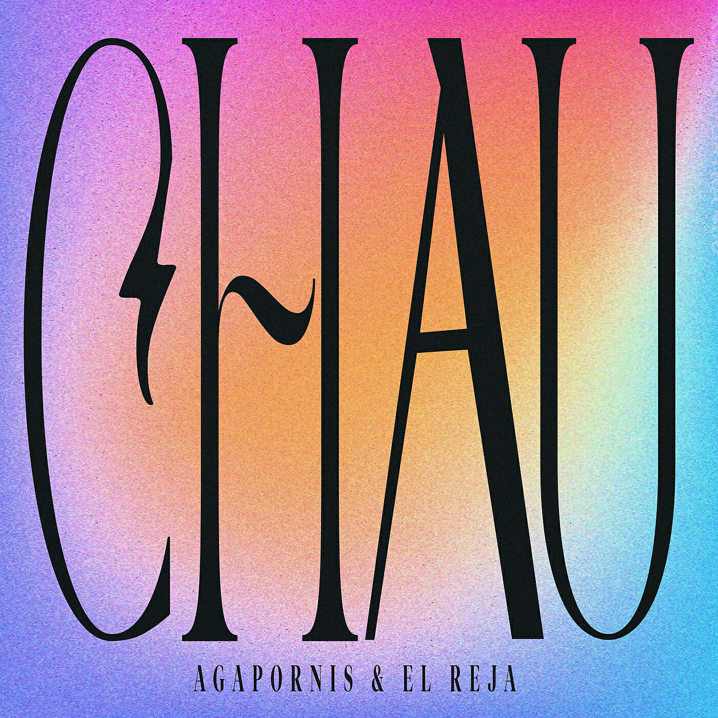Agapornis - Chau