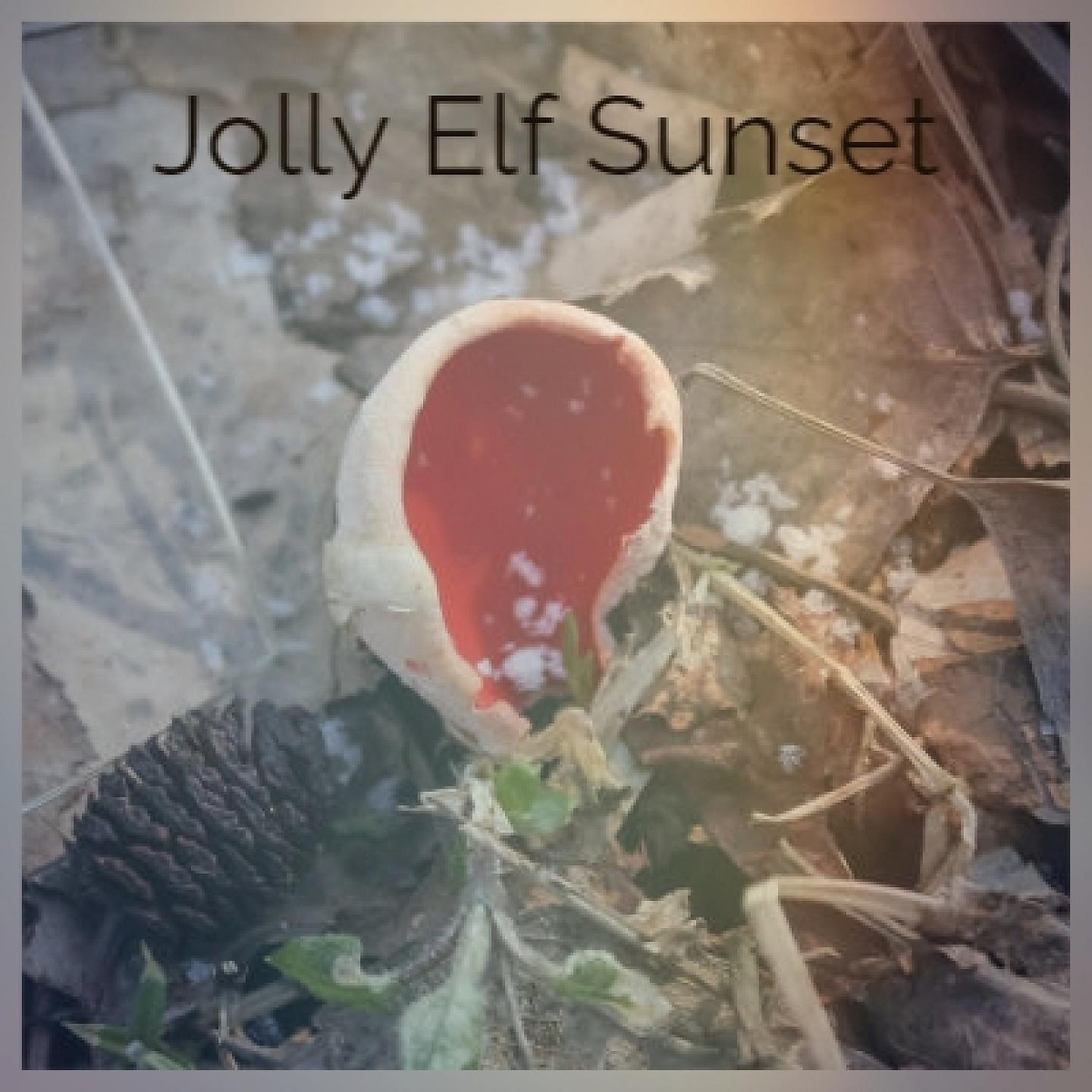 Постер альбома Jolly Elf Sunset