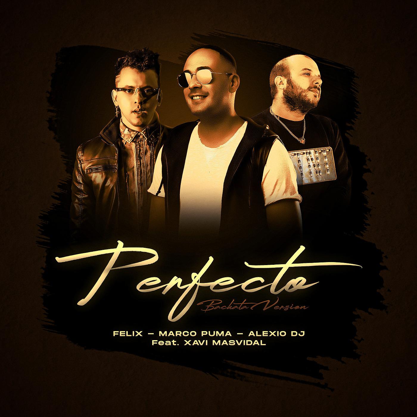 Постер альбома Perfecto (Bachata Version)