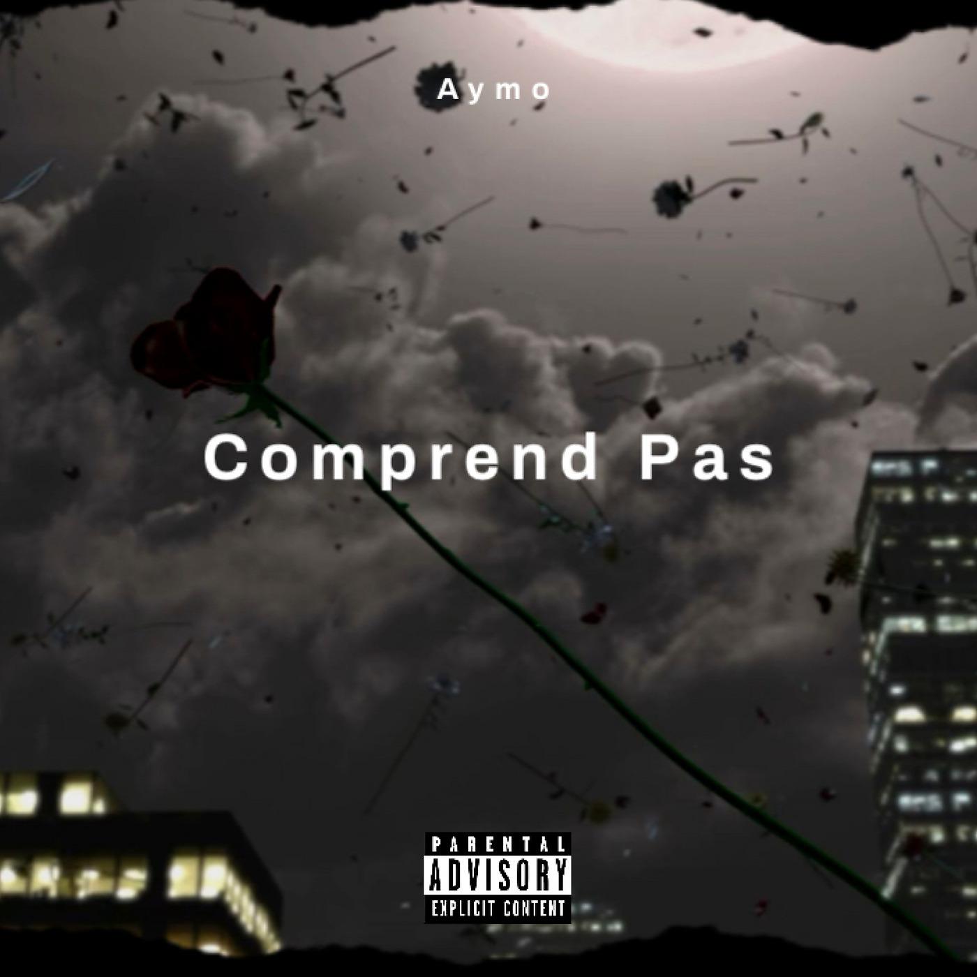 Постер альбома Comprend Pas
