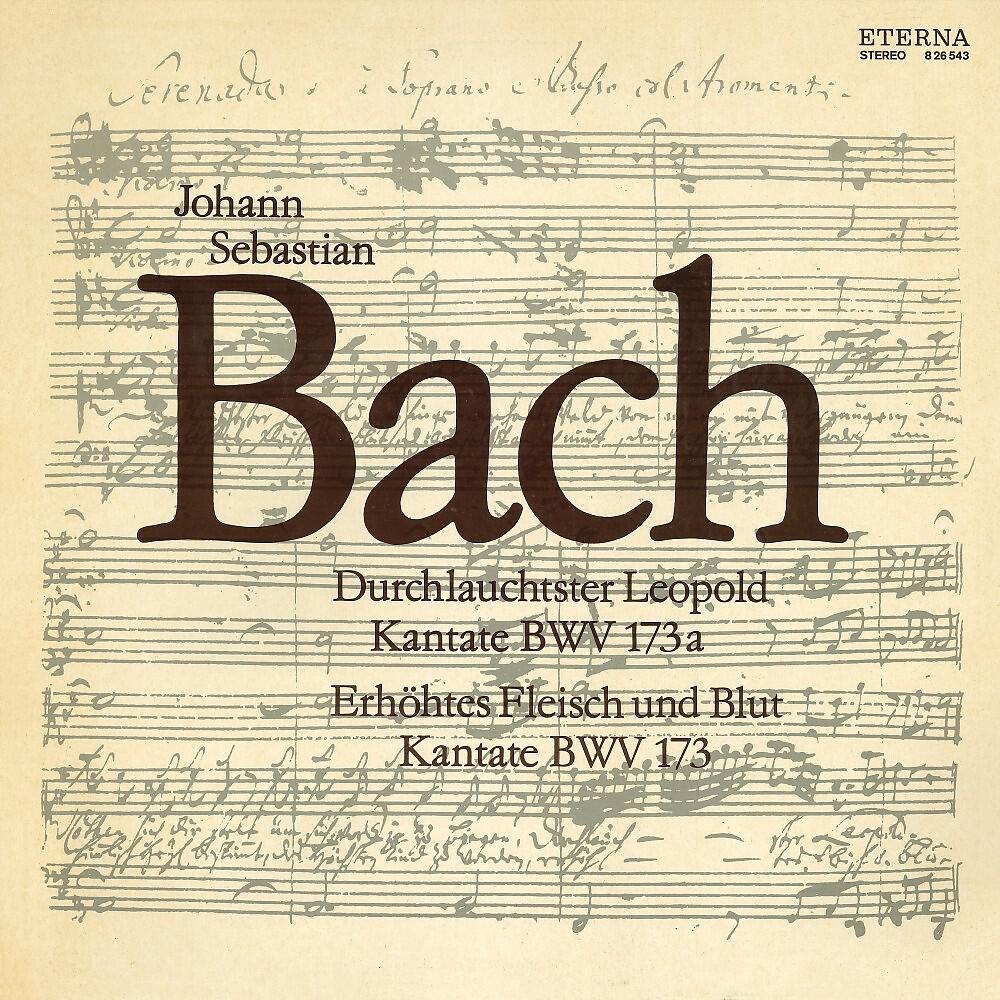 Regina Werner - Durchlauchtster Leopold, BWV 173a: Aria: 