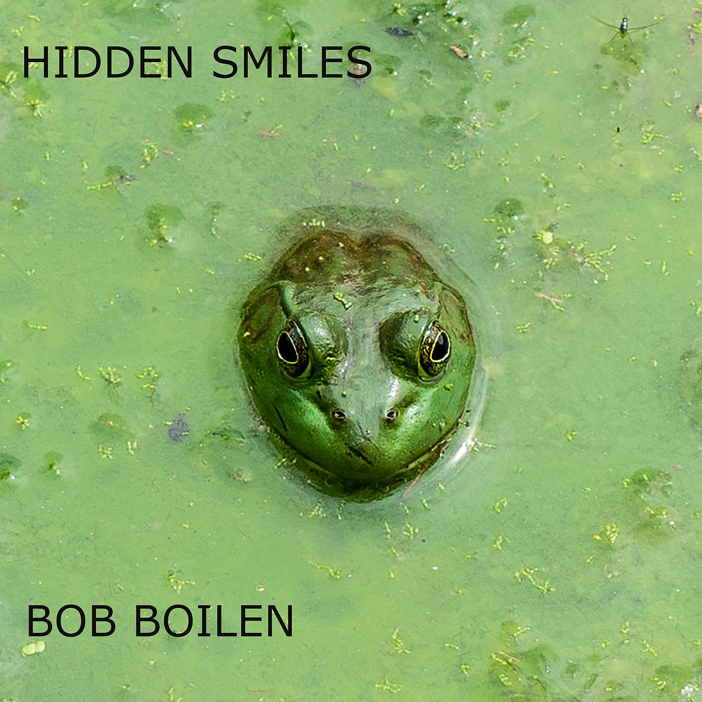 Постер альбома Hidden Smiles