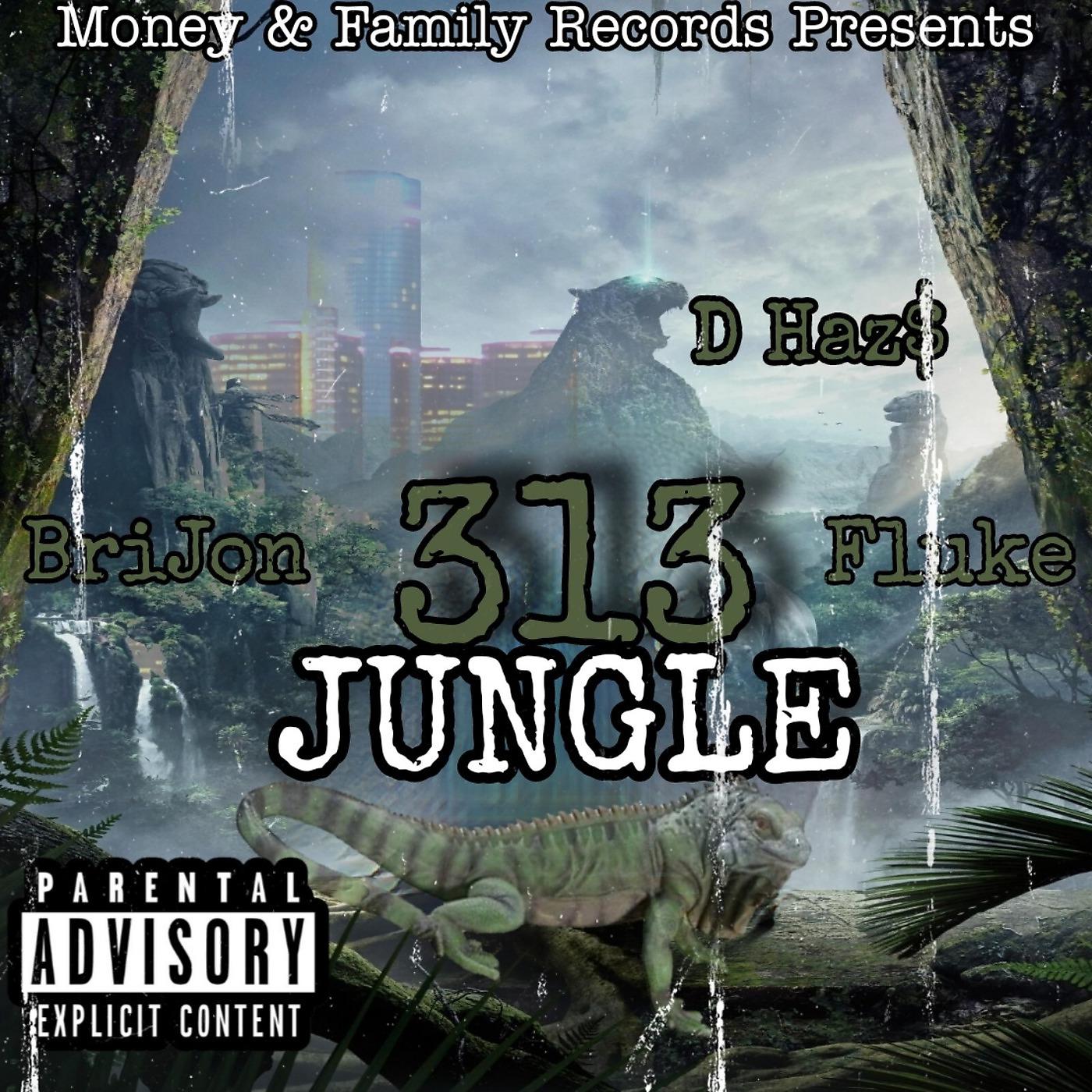 Постер альбома 313 Jungle