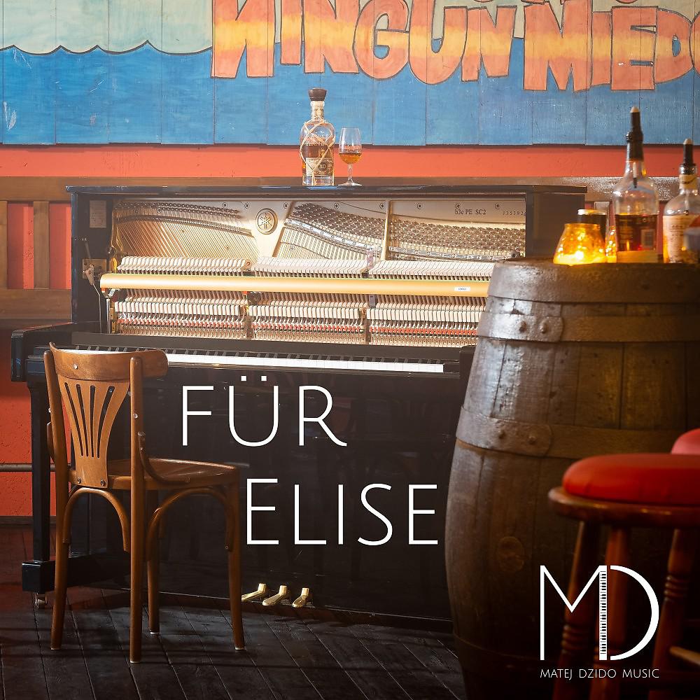 Постер альбома Für Elise (Latin Version)