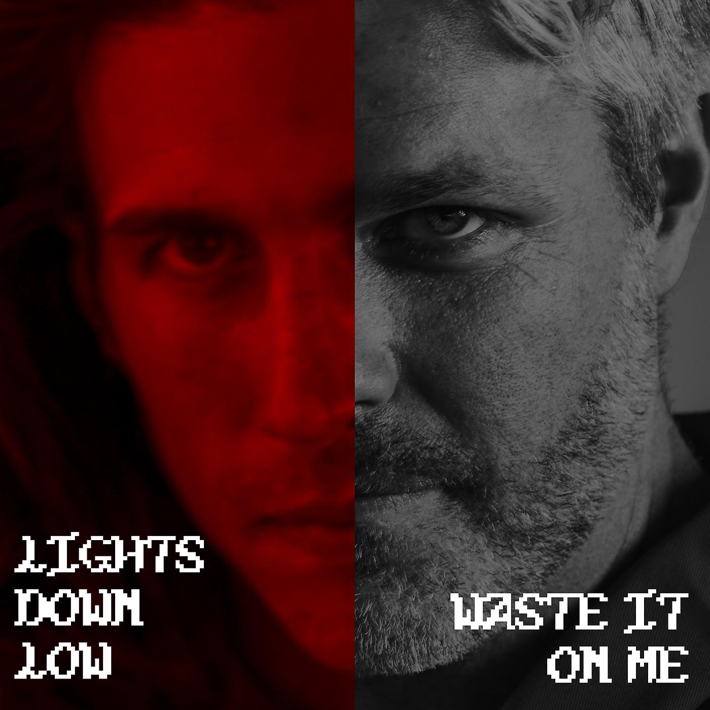 Постер альбома LIGHTS DOWN LOW / WASTE IT ON ME