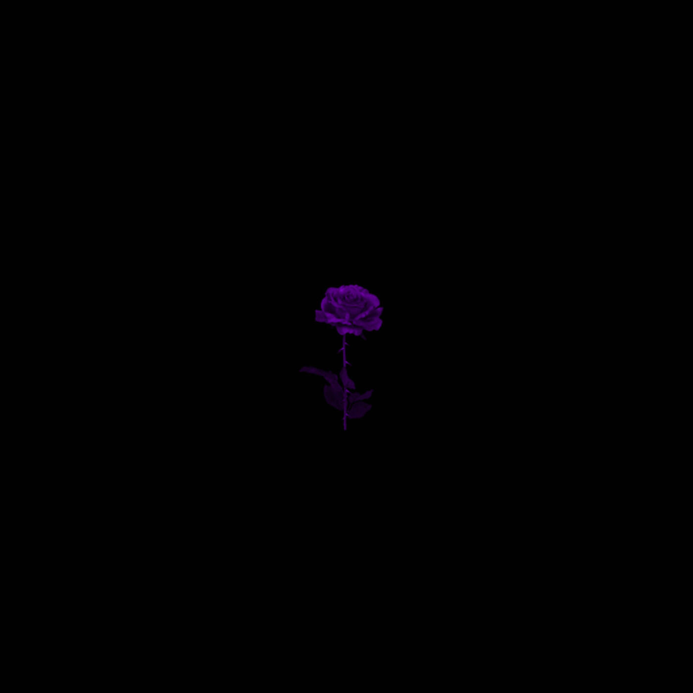 pre kai ro - Garden
