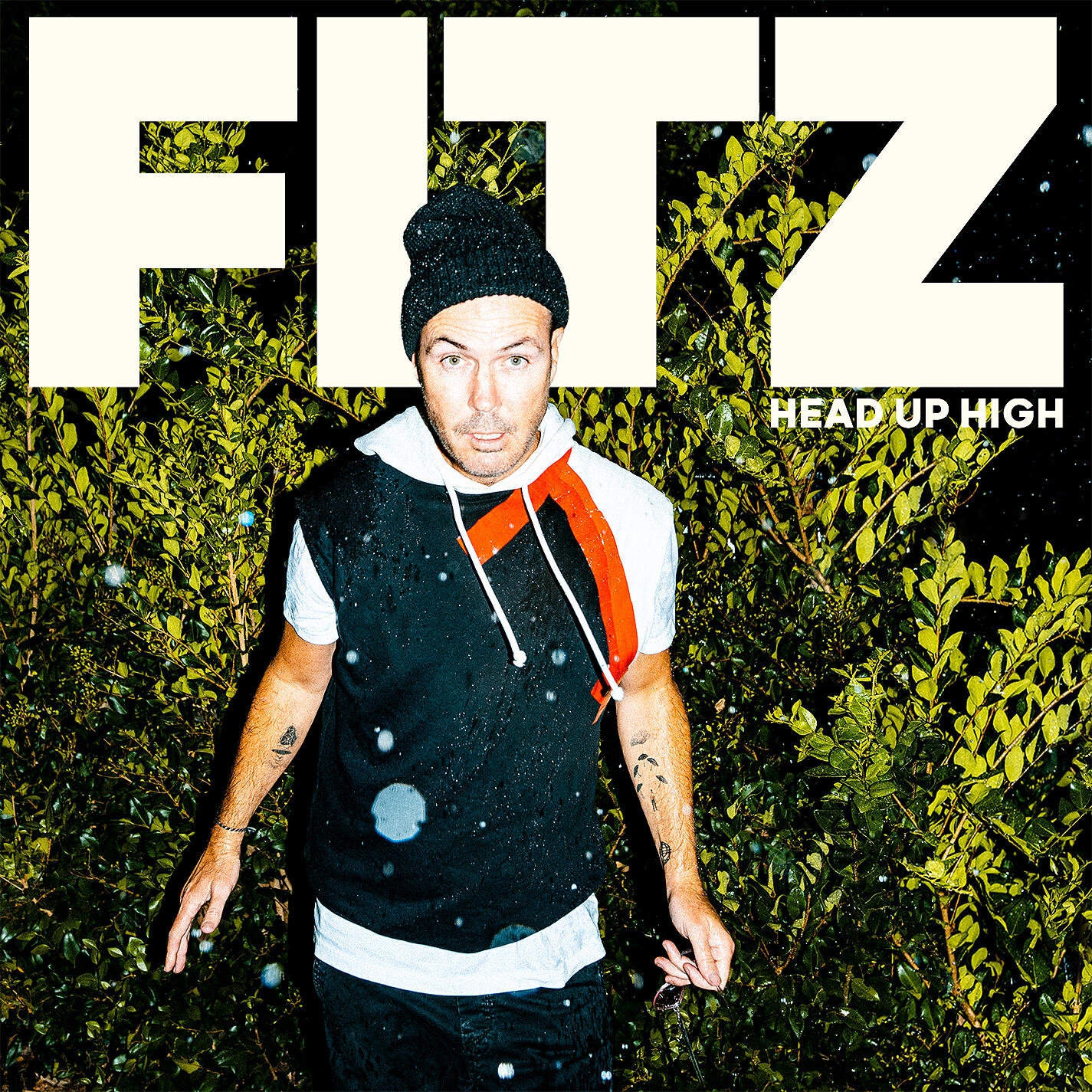 FITZ - Somebody Sometimes