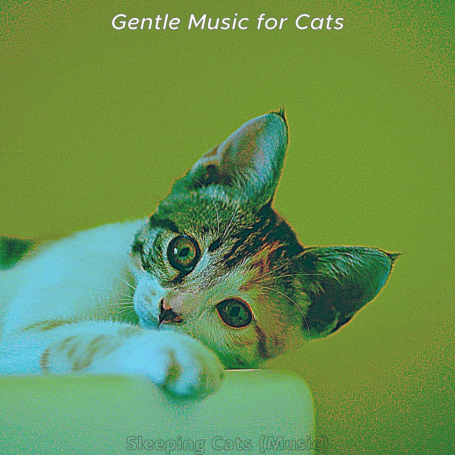 Постер альбома Sleeping Cats (Music)