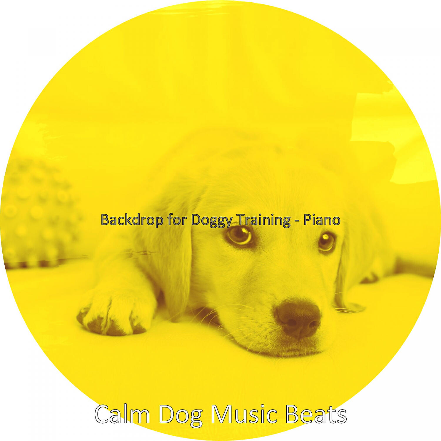 Calm Dog Music Beats - Casual Backdrops for Relaxing Dogs