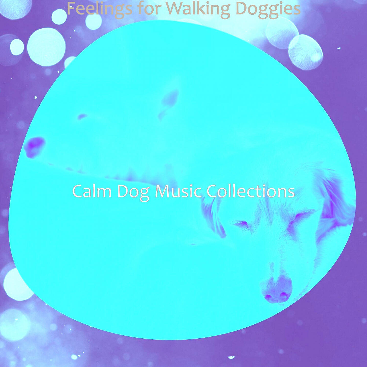 Calm Dog Music Collections - Happening Solo Piano Jazz - Vibe for Doggy Training