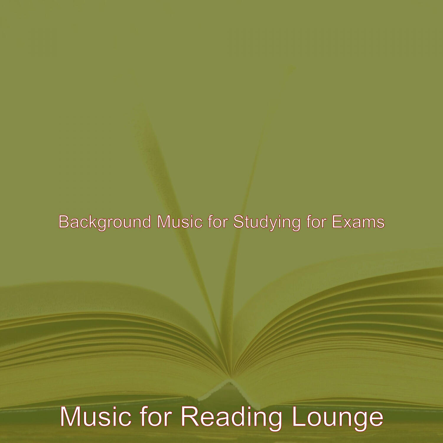 Music for Reading Lounge - Background for Reading Books