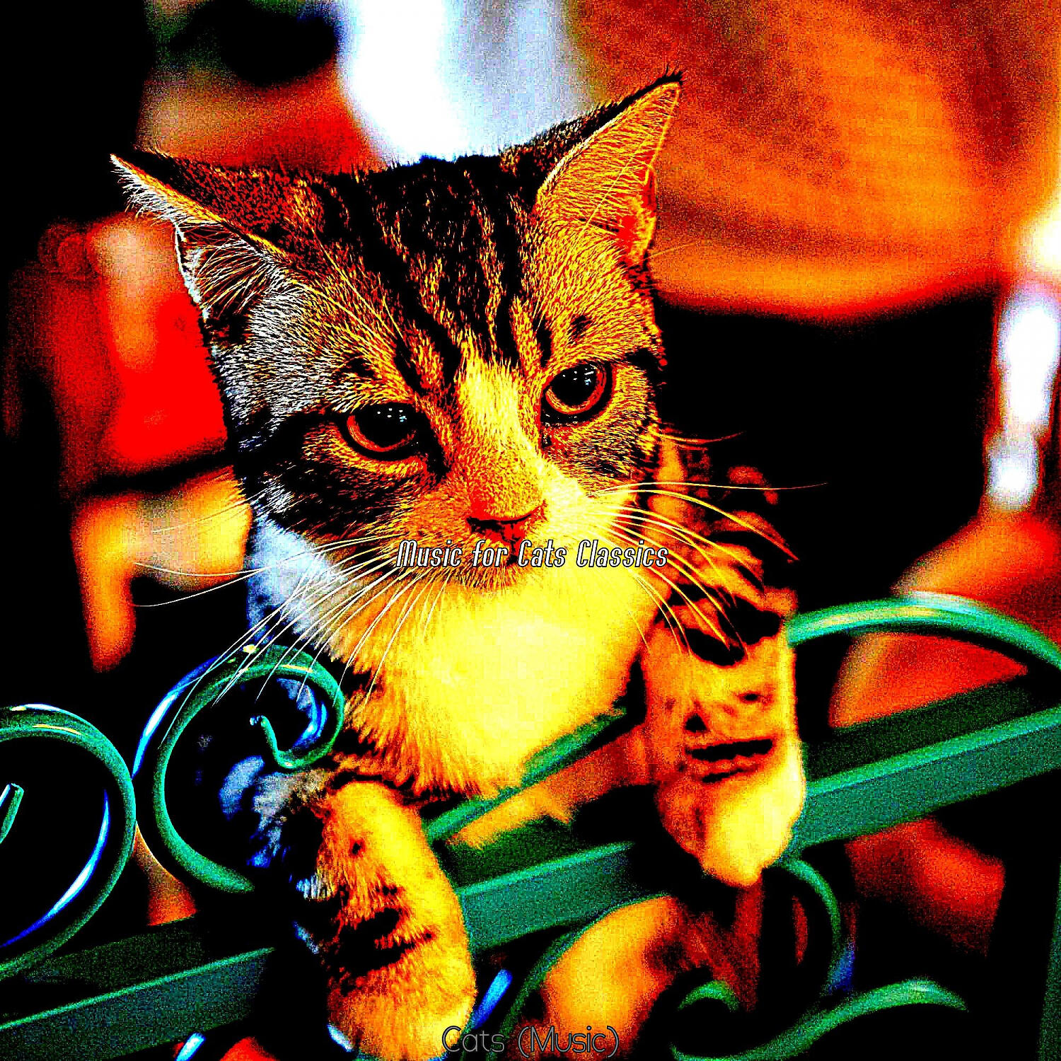 Music for Cats Classics - Laid-back (Cute Kittens)