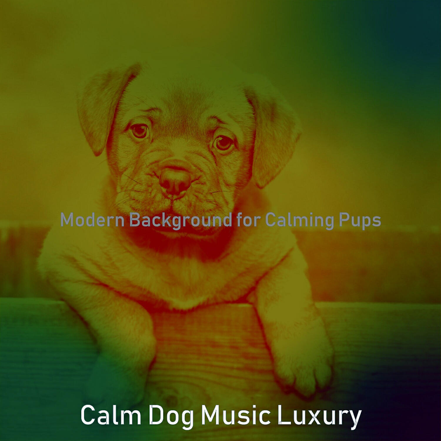 Calm Dog Music Luxury - Casual Ambiance for Walking Doggies