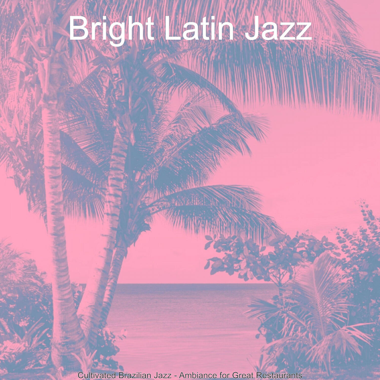 Bright Latin Jazz - Beautiful Saxophone Bossa Nova - Vibe for Dinner Parties