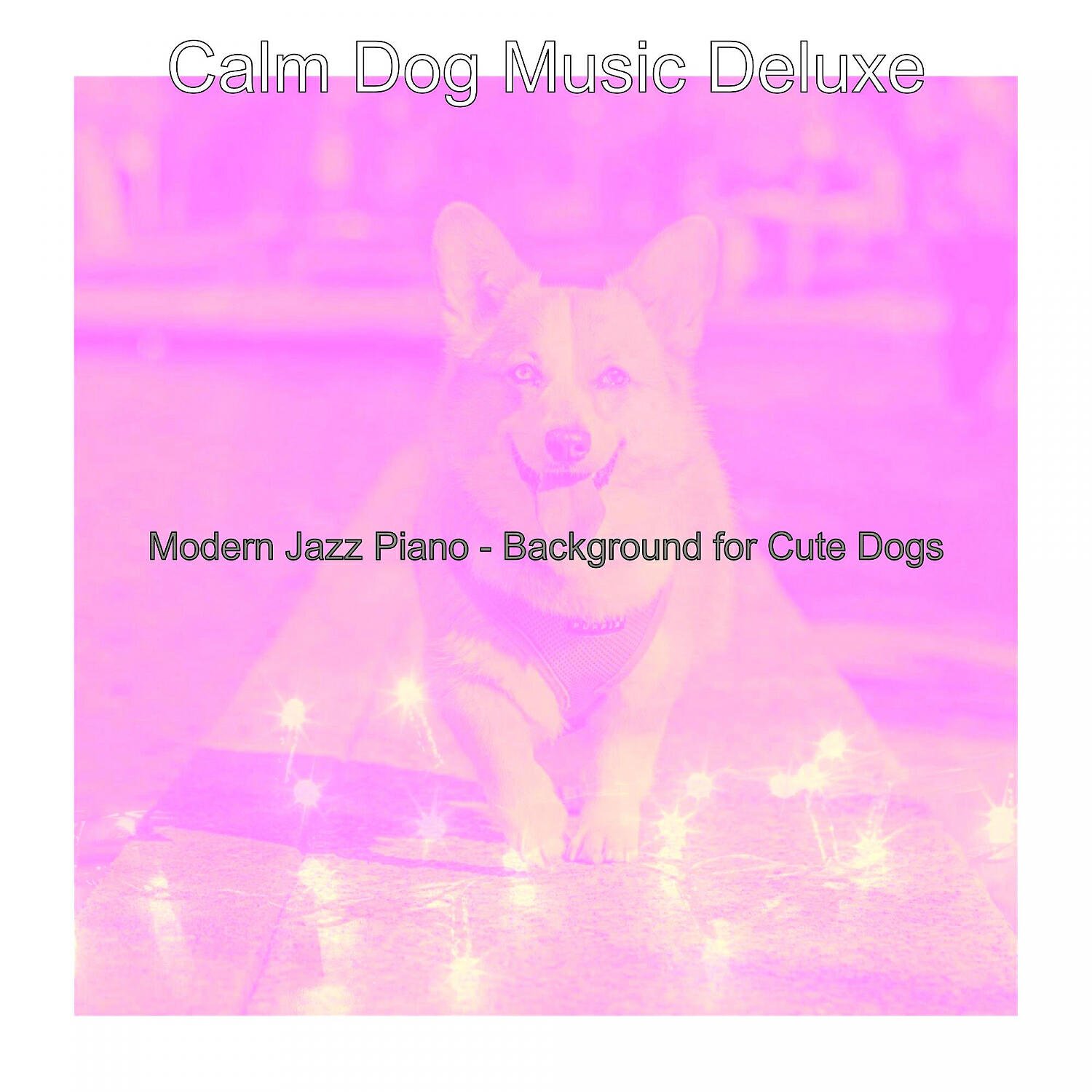 Calm Dog Music Deluxe - Excellent Ambience for Doggies