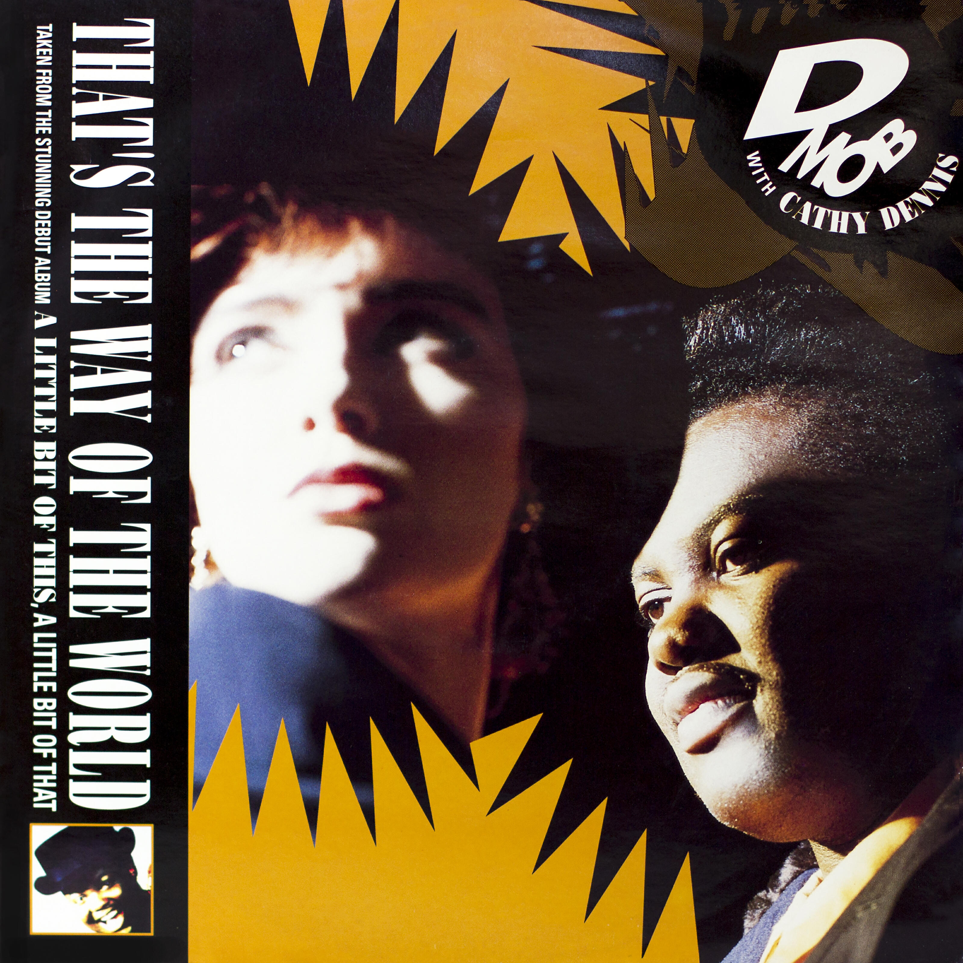 D Mob - That's The Way of The World (with Cathy Dennis) [7