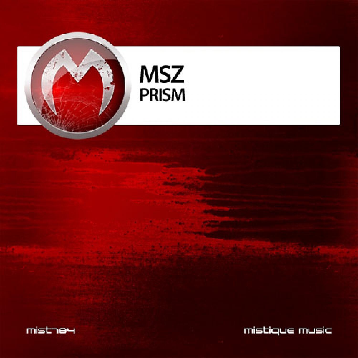 MSZ - Memories Fade in the Coldest Winter