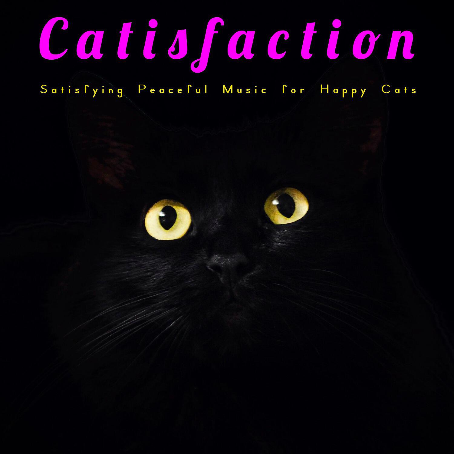 Cat Music - Solo Flight
