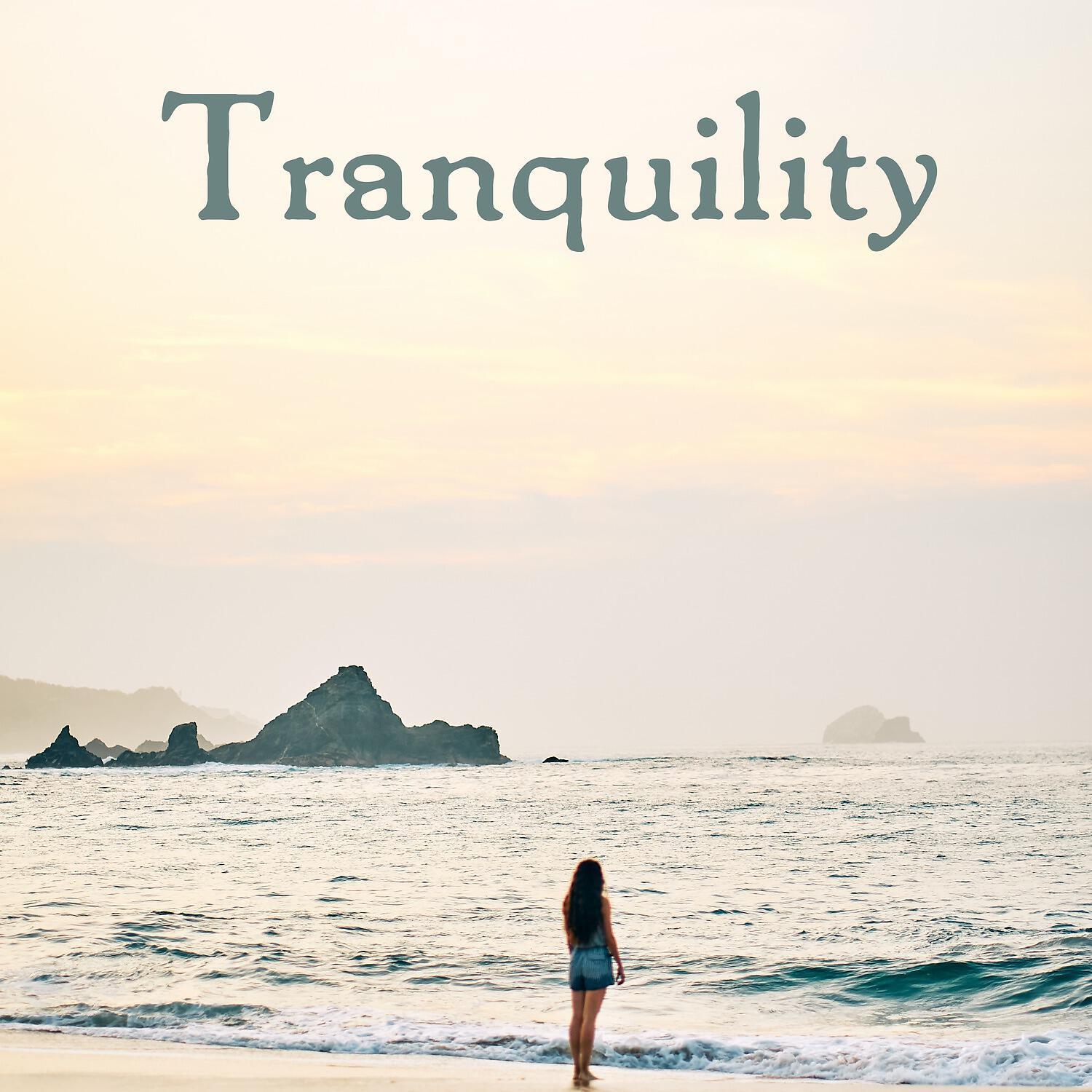 Tranquility Spree - Ocean Waves Crashing on Rocks