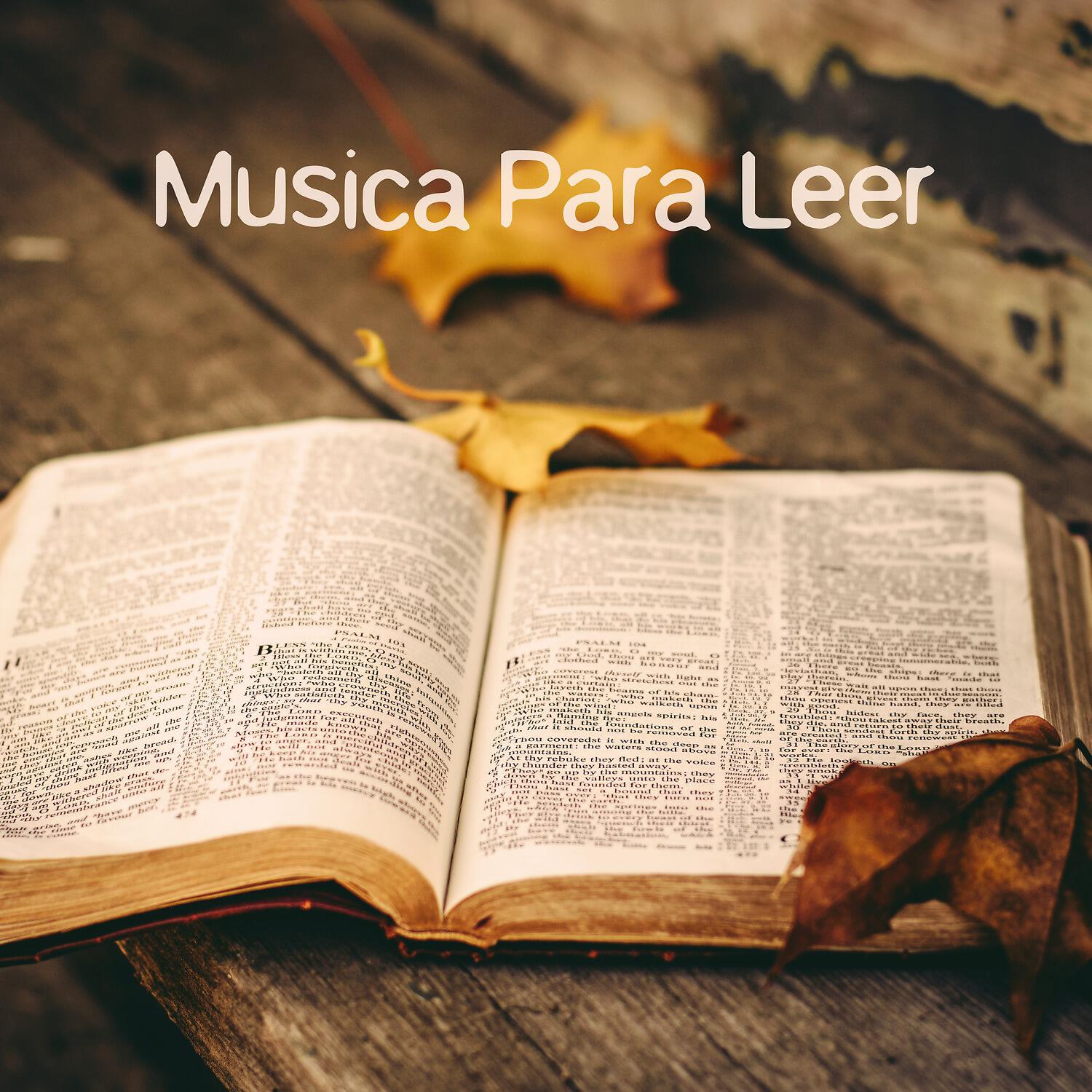 Musica Para Leer - Simple Moment