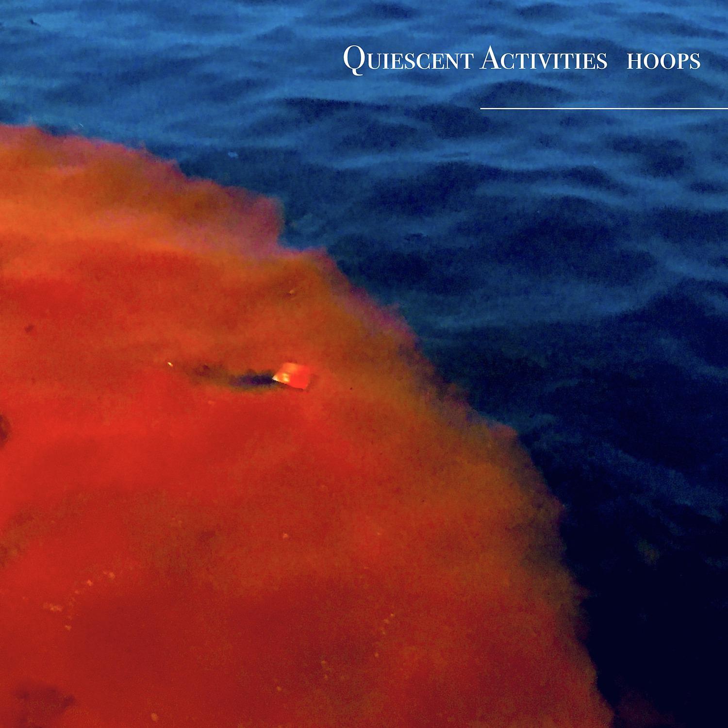 Постер альбома Quiescent Activities