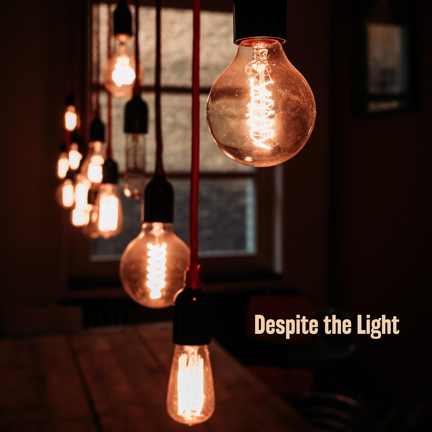 Постер альбома Despite the Light