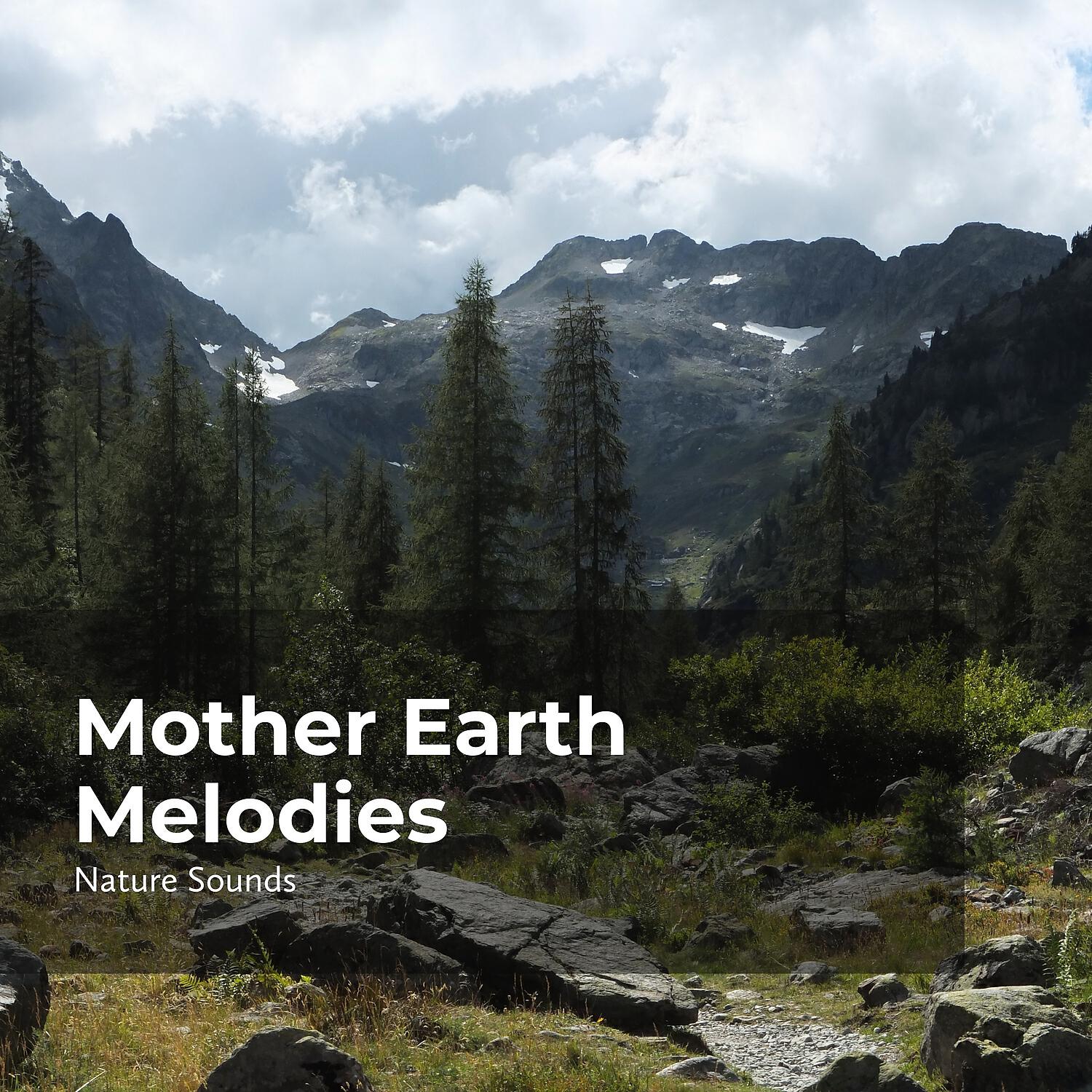 Sleep Sounds Of Nature - Symphonious Nature