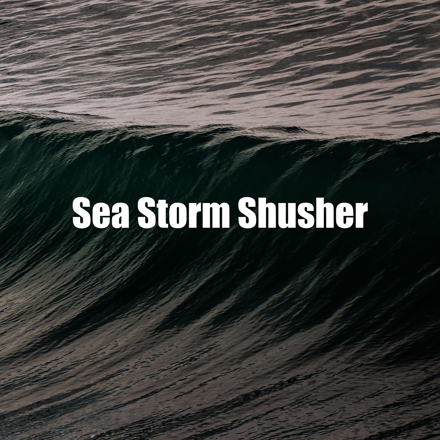 Постер альбома Sea Storm Shusher